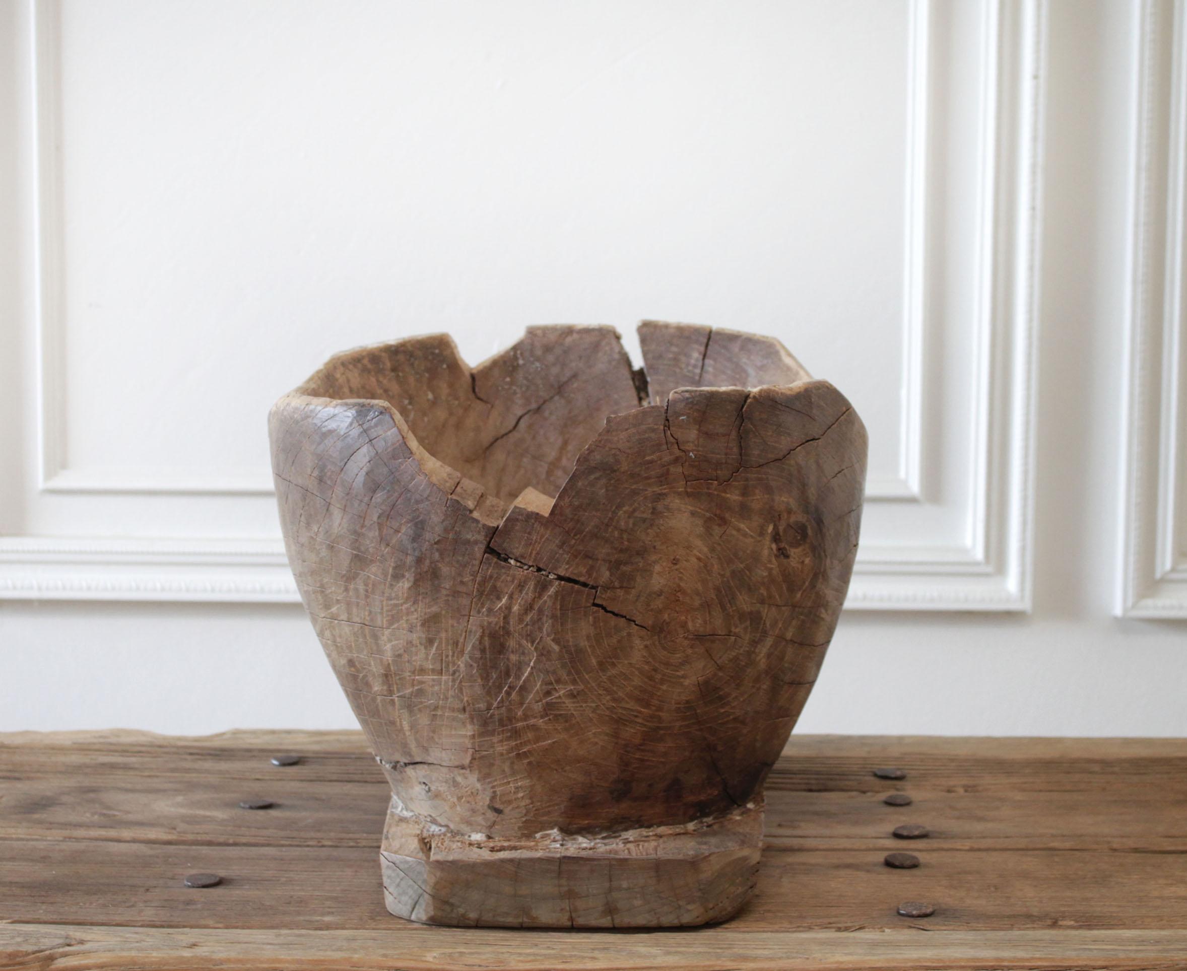 tree trunk bowl