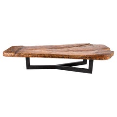 Used Primitive South Asian Elm Cutting Plateu on Steel Mount