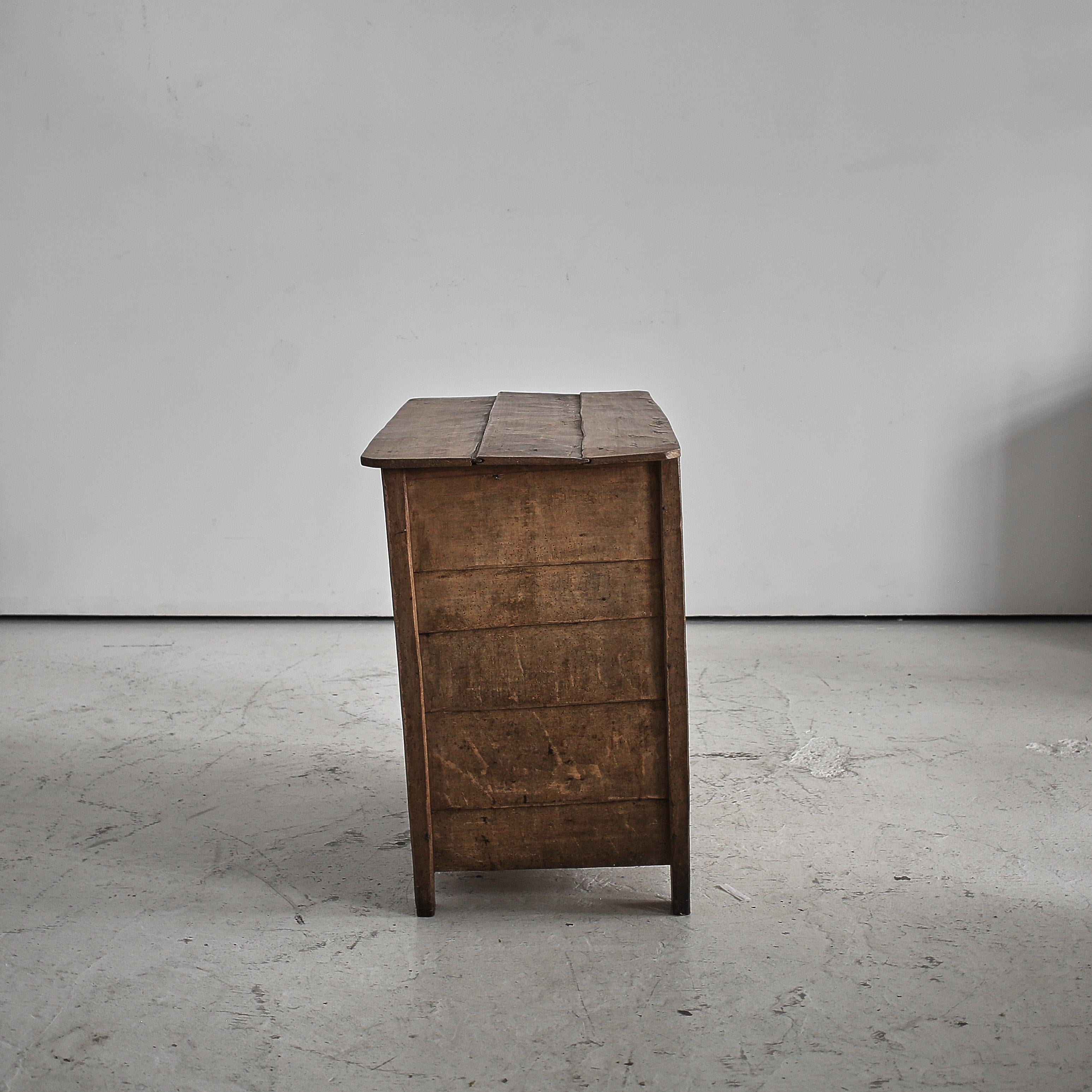 Primitive Transylvanian Wabi Sabi Mountain Cupboard 2