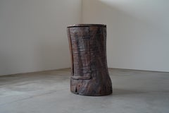 PRIMITIVE TREE TRUNK CABINET - FRANCE 1900s