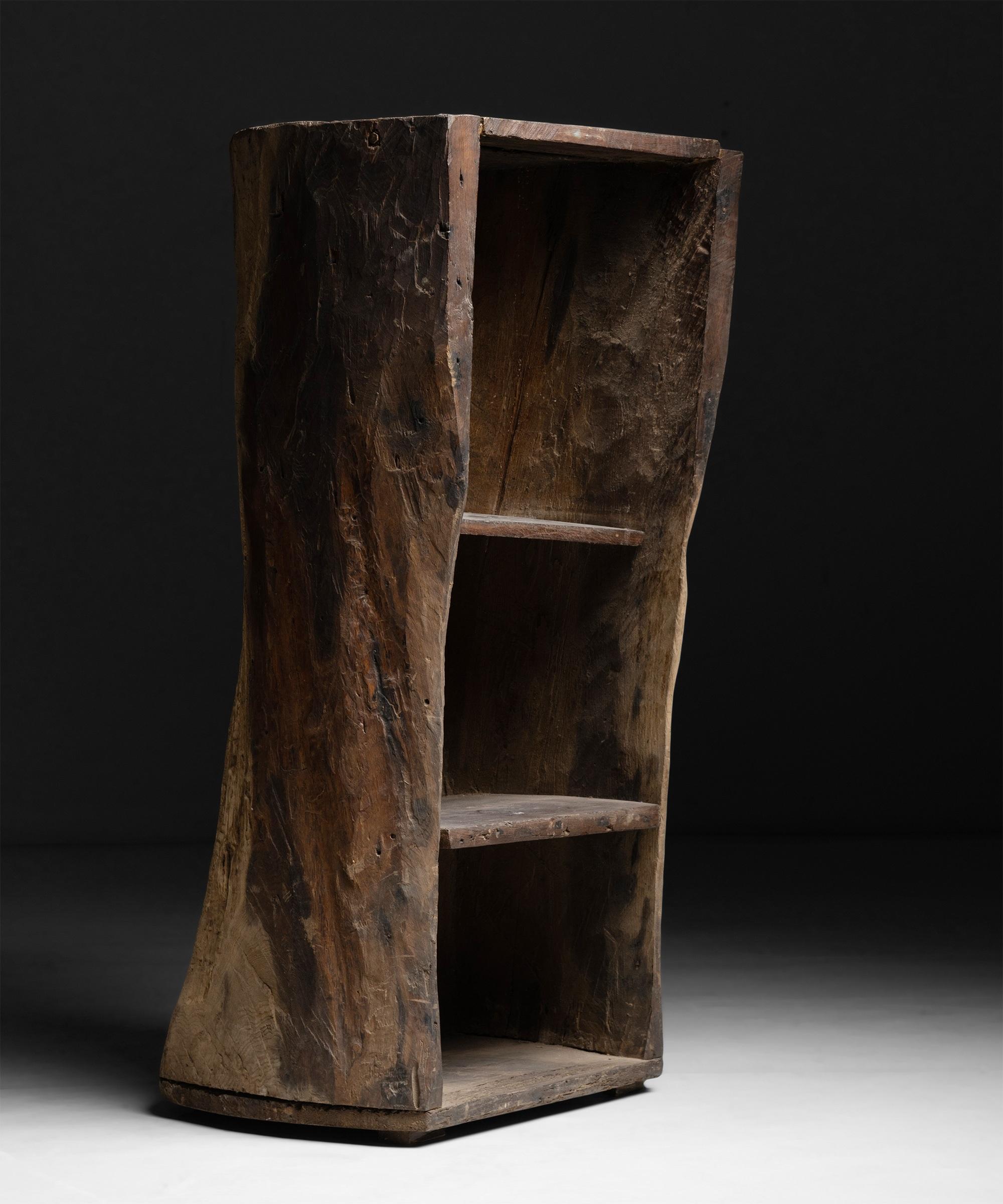 tree trunk shelves