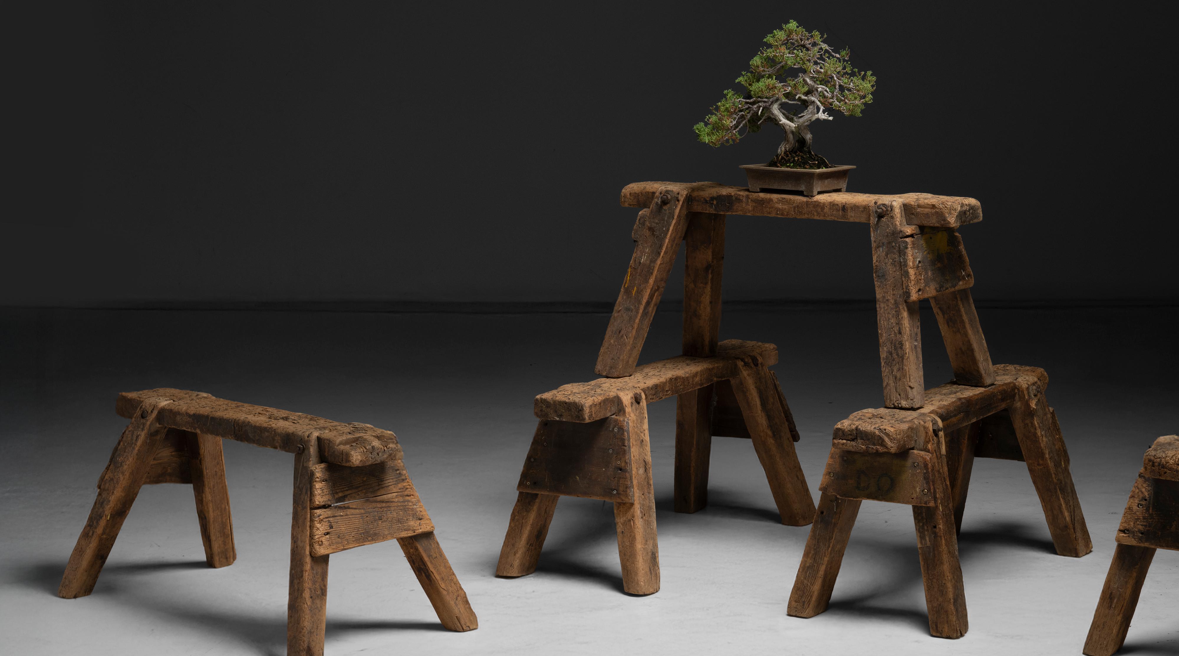 Inizio XX secolo Cavalli a cavalletto primitivi, Inghilterra, 1900 in vendita