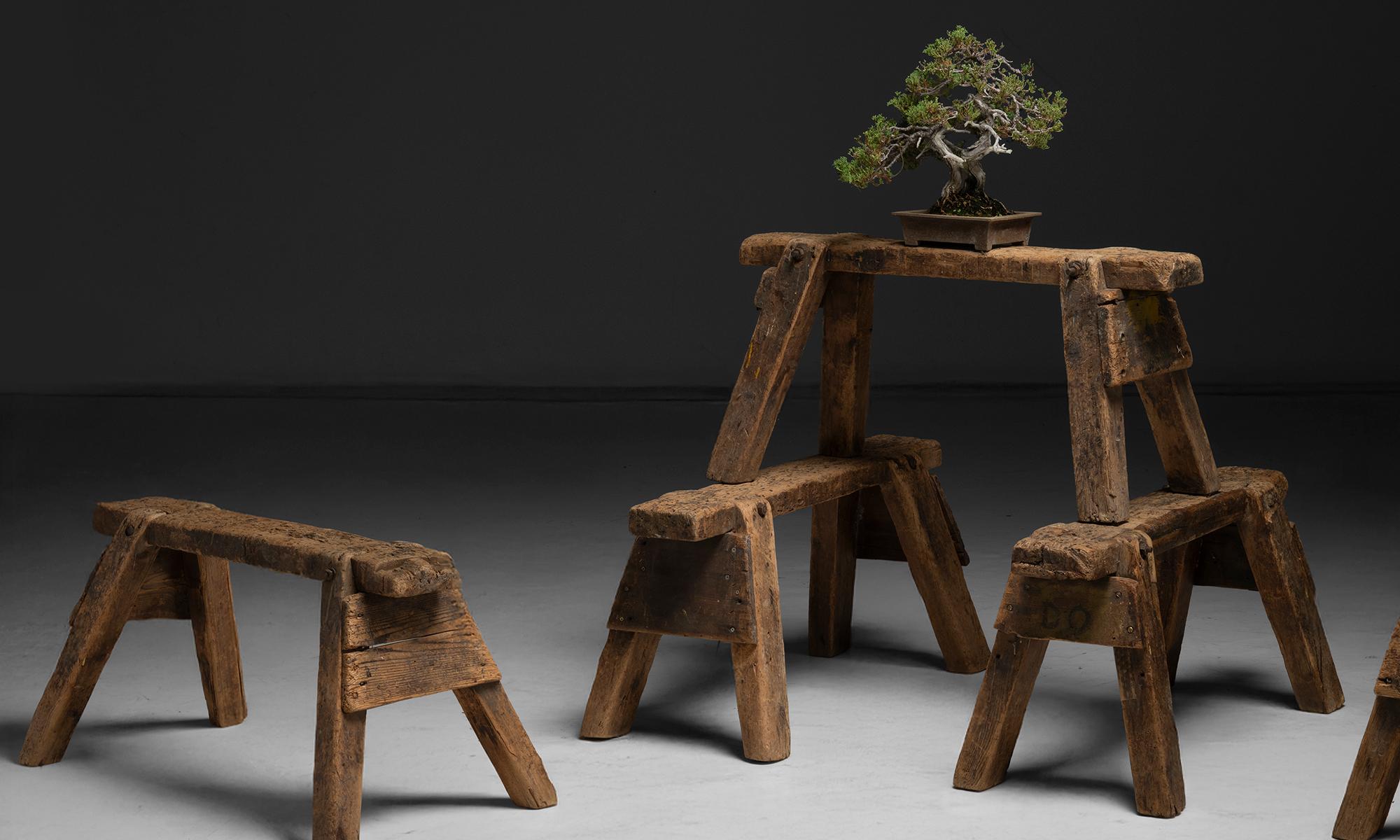 Pino Cavalli a cavalletto primitivi, Inghilterra, 1900 in vendita