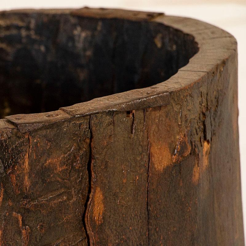 20th Century Vintage Wood Container Made from Tree Trunk