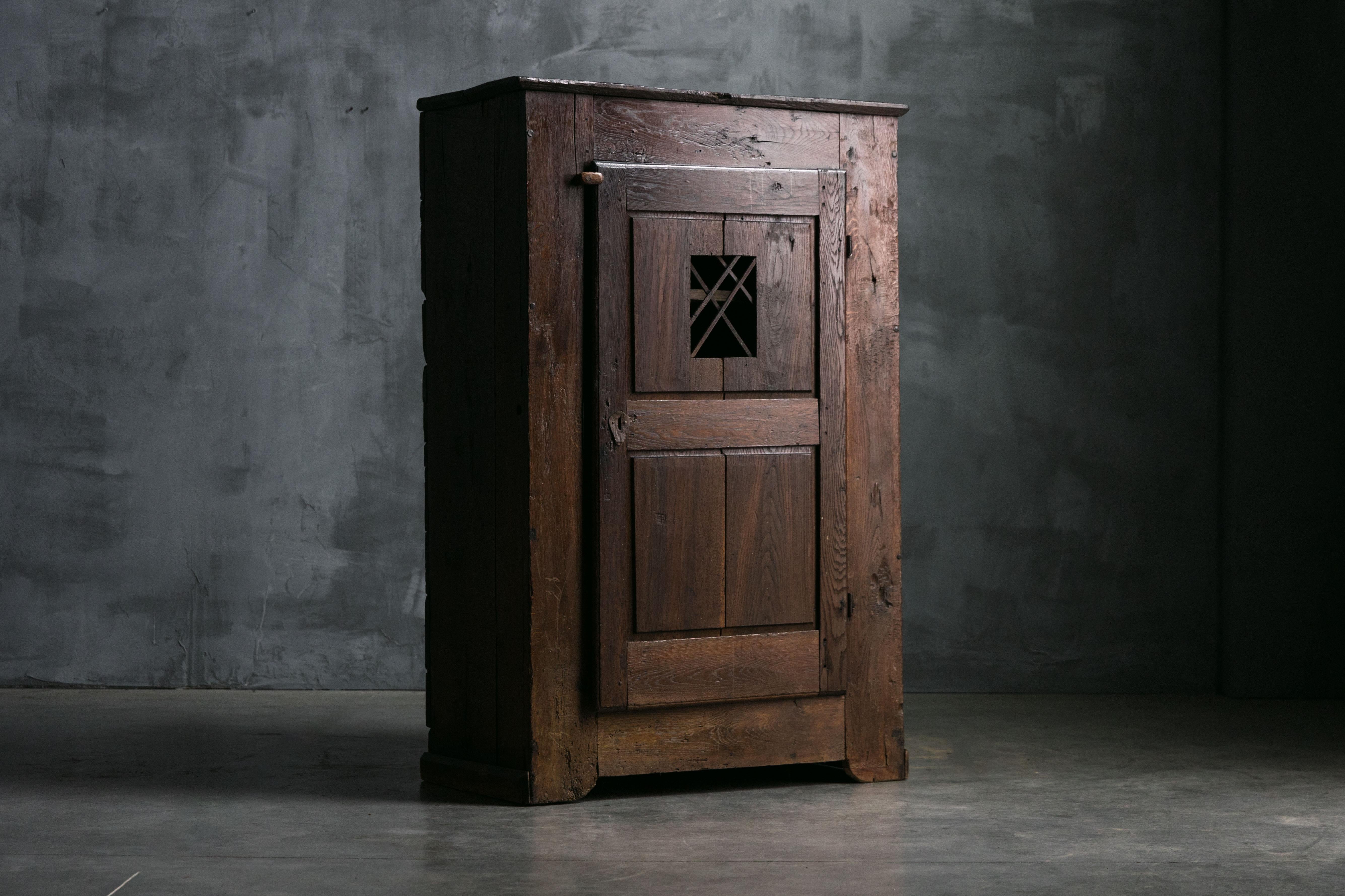 Armadio francese del XIX secolo che incarna il fascino rustico dell'artigianato rurale con il suo legno scuro e invecchiato e il suo design brutalista. Il mobile è dotato di due spaziosi ripiani, che offrono un ampio spazio di archiviazione
