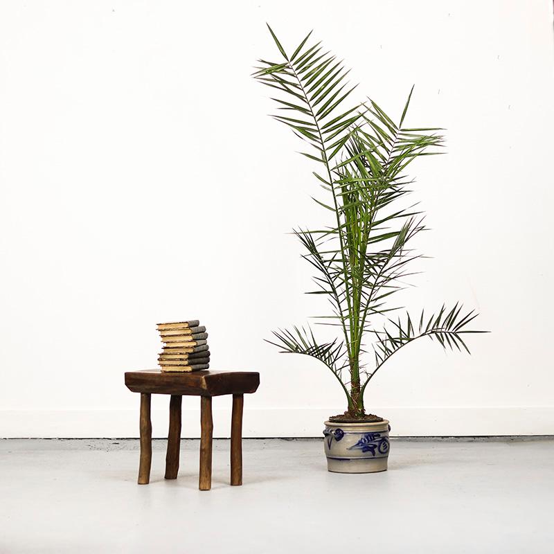 Chêne Primitive Wabi Sabi Oak Farmhouse Stool / Side Table en vente