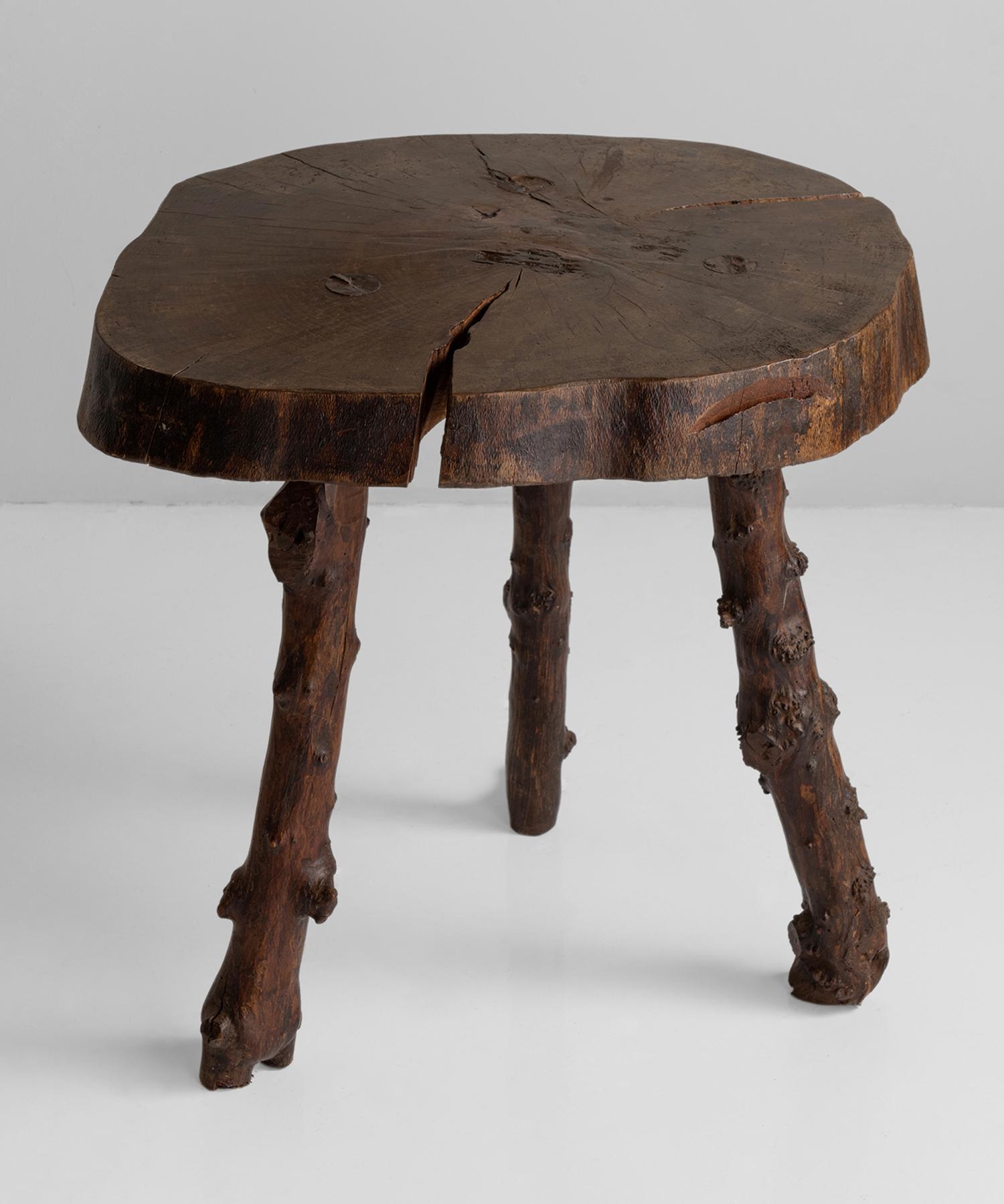 Primitive Wooden slab table, France, 19th century.

Thick slab of wood on top of tree branch legs.