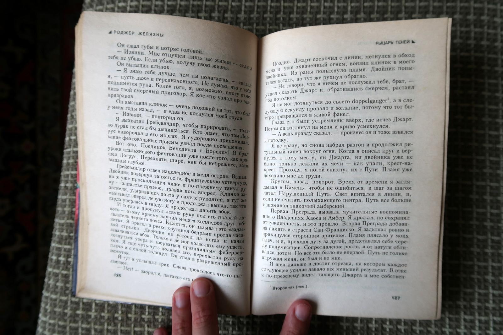 Princes de l'ombre et du chaos : roman fantaisie vintage de Roger Zelazny, 1J167 en vente 1