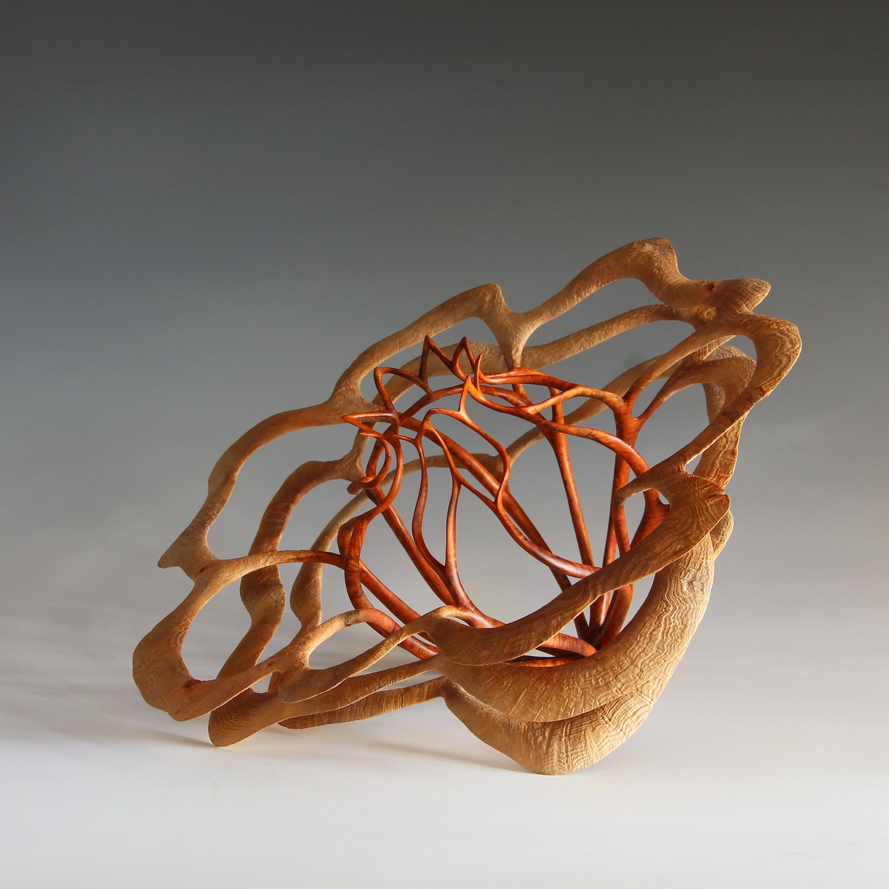Alain Mailland's journey, which began as a carpenter, has evolved into a breathtaking exploration of woodturning, where he is among the pioneers of green rather than dry wood turning. For over 25 years, Mailland has continually pushed the boundaries