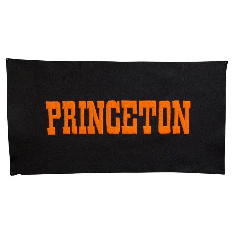 Princeton University Banner c.1910-1940 For Sale at 1stDibs