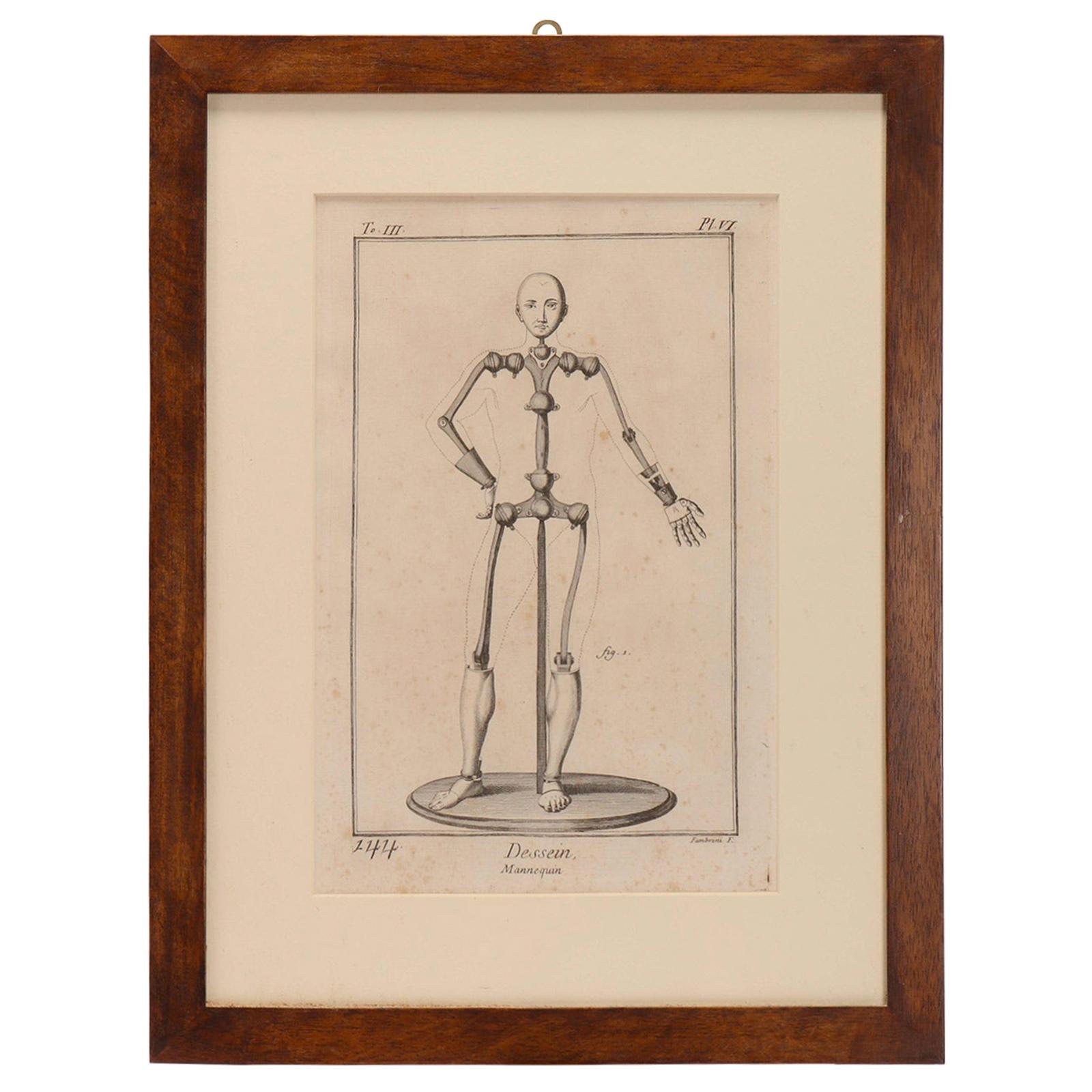 Print Depicting a Dummy, France, 1890 For Sale