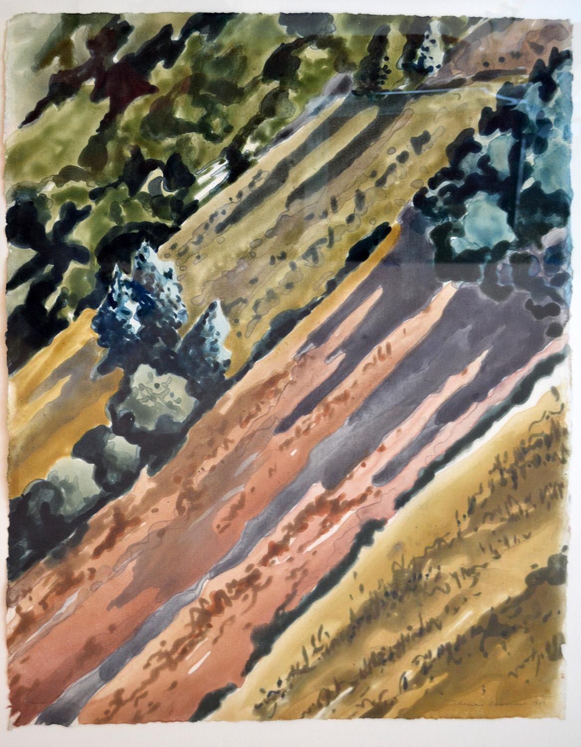 Druck auf Papier von Catherine Kernan 'Oaxaca Hillside' 1989 Monotypie Diptychon USA (Moderne) im Angebot