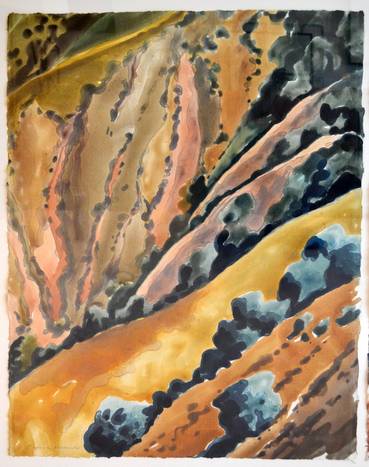 Druck auf Papier von Catherine Kernan 'Oaxaca Hillside' 1989 Monotypie Diptychon USA (amerikanisch) im Angebot