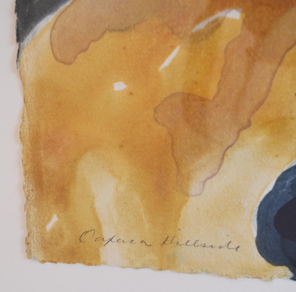 Druck auf Papier von Catherine Kernan 'Oaxaca Hillside' 1989 Monotypie Diptychon USA (Farbe) im Angebot