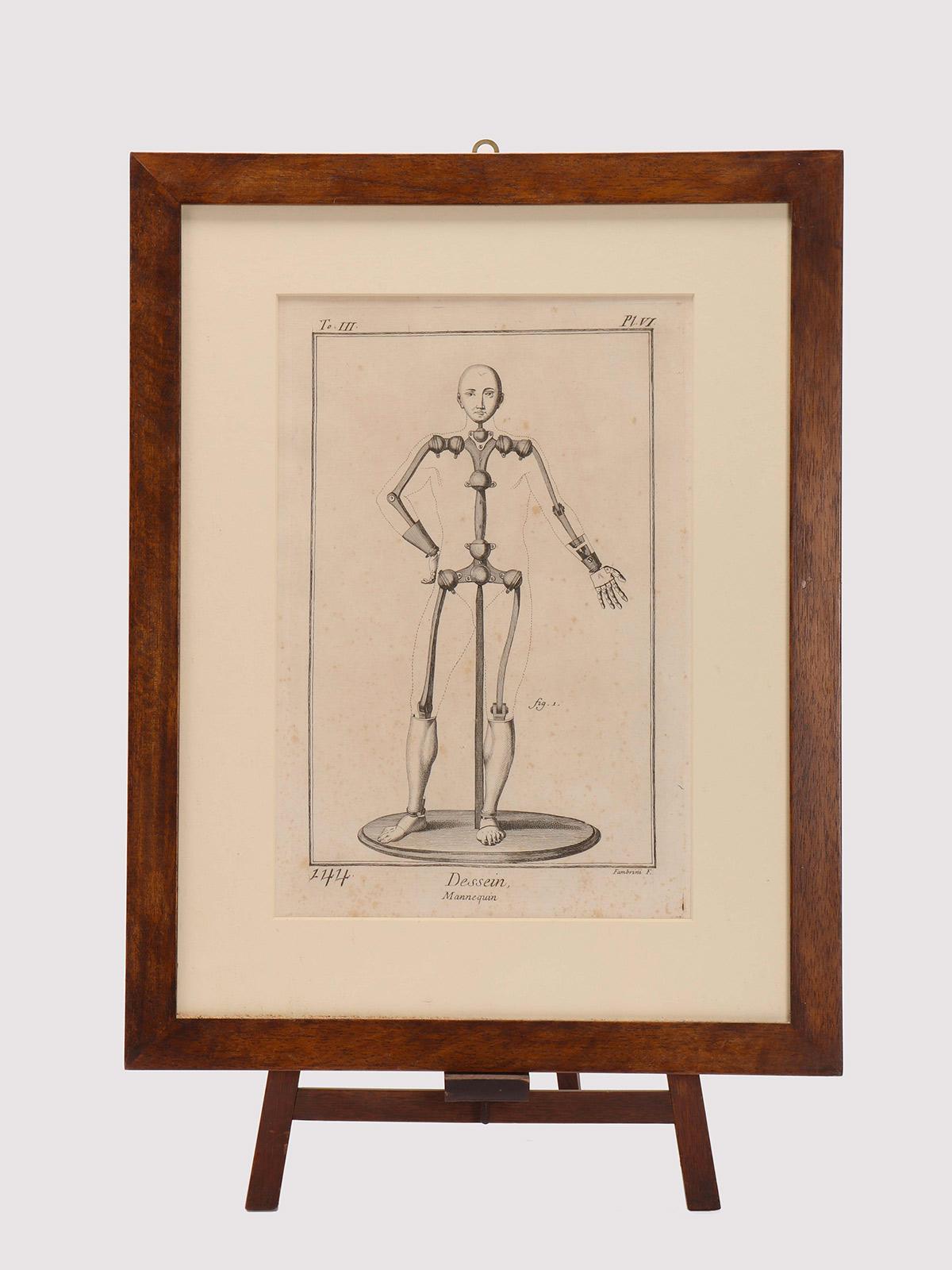 Engraving on paper of an articulated mannequin by F. Fambrini. (active in Lucca, 1764 – 1780), Italy, second half of the 18th century.