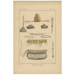 Antique Print with Papua Decoration 'New Guinea, Indonesia' by Temminck, circa 1840