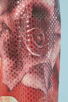 Printed roses jean with transparent pastilles appliqué Roberto Cavalli