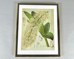 Ensemble de 2 œuvres d'art murales encadrées Vintage Wall Decor Allemagne