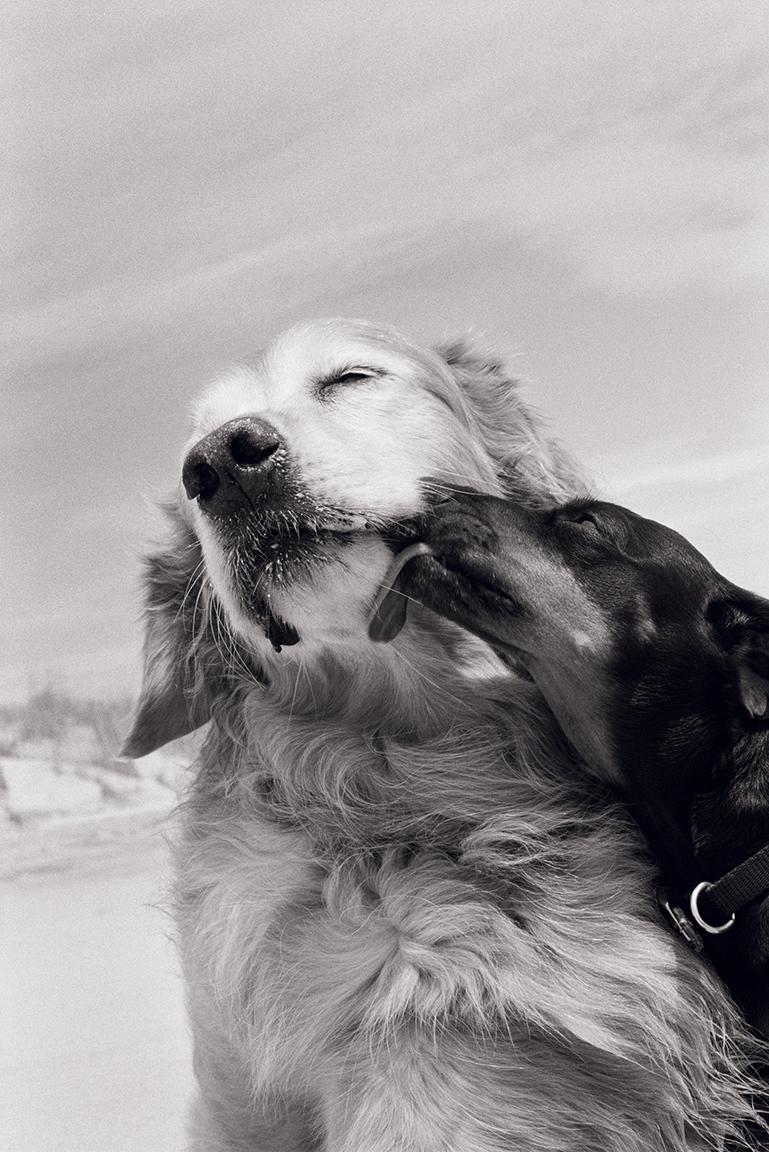 Black and White Photograph Priscilla Rattazzi - The Kiss, East Hampton