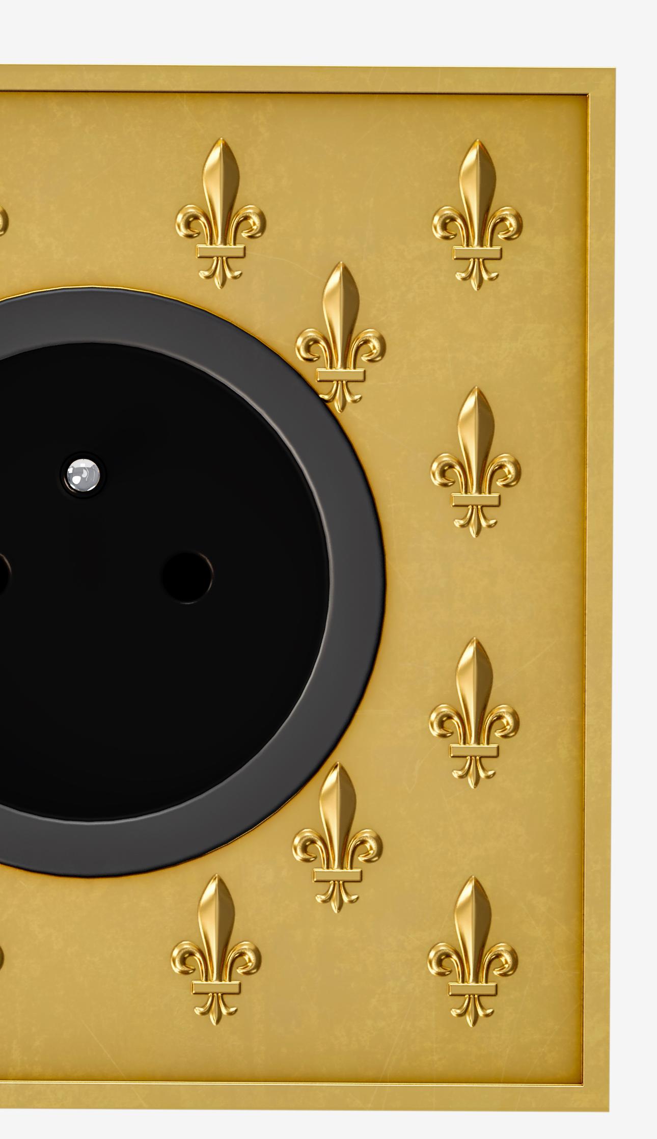 Versailles Fleur de Lys collection socket outlets in brass 
Hand-crafted by Remy Garnier, bronze artist 
Brass satin varnish finish. 

US/UK/EU-compliant fittings (to be specified after ordering).

Case compatibility to be defined after