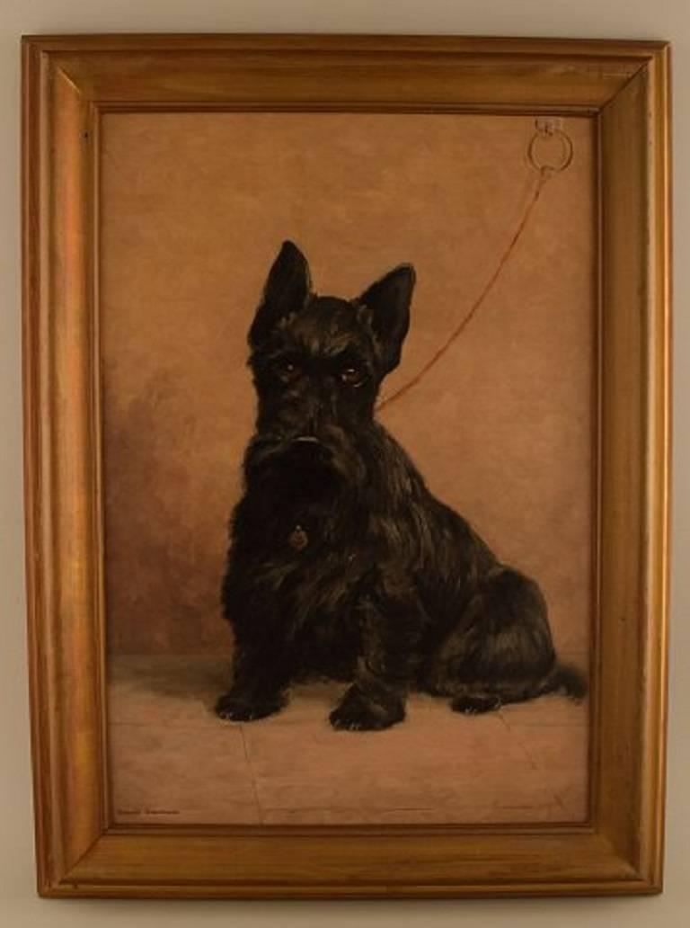 Probably French artist, oil on plate. Black Scottie, circa 1930s-1940s.
Measures: 31.5 cm x 47 cm. The frame measures 6 cm.
Signed illegible.
In perfect condition.