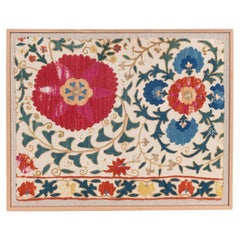 Professionally Framed Antique Suzani Fragment, Uzbekistan, Mid 19th C.