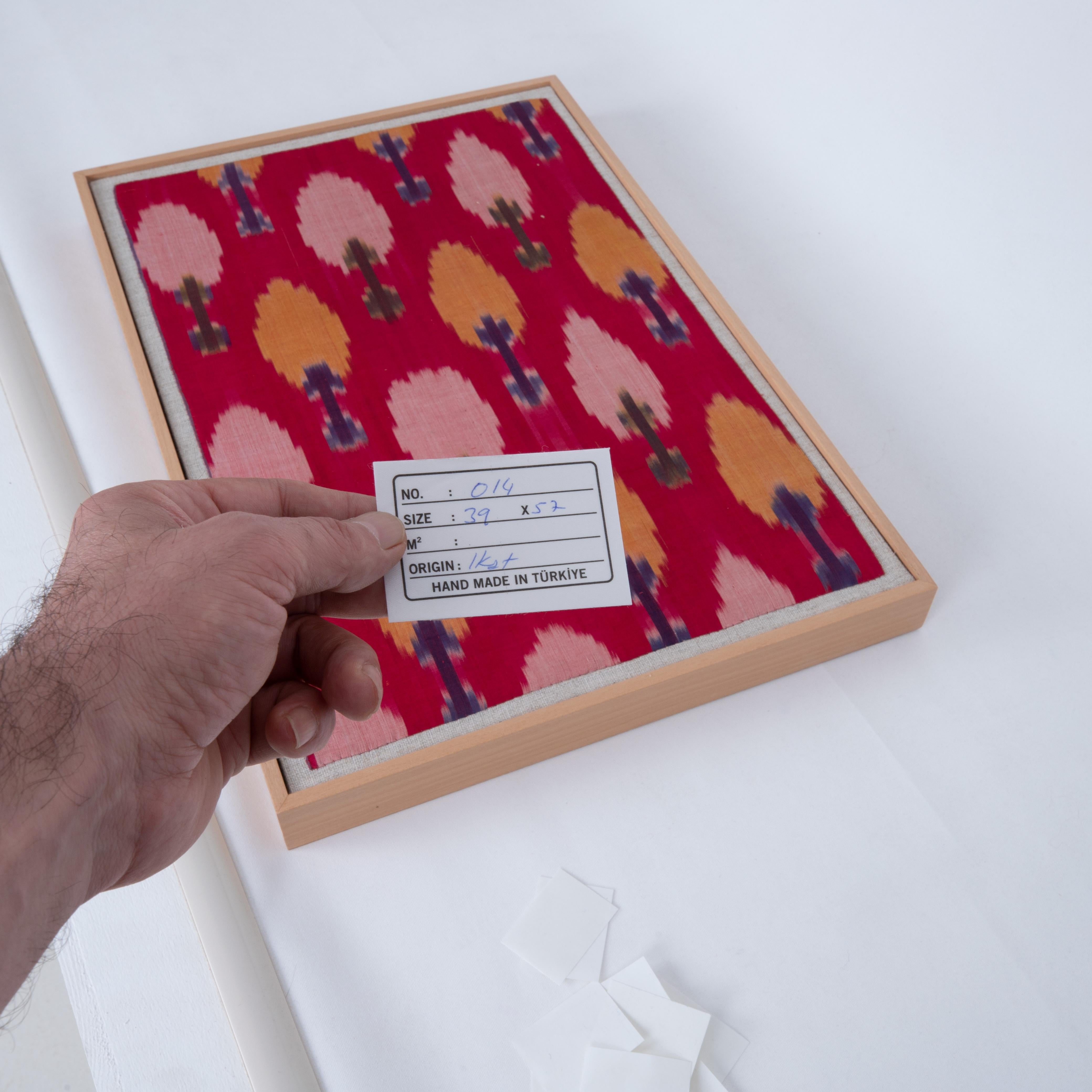 Professionally Framed Silk and Cotton Ikat Fragment, Uzbekistan, E 20th C. For Sale 1