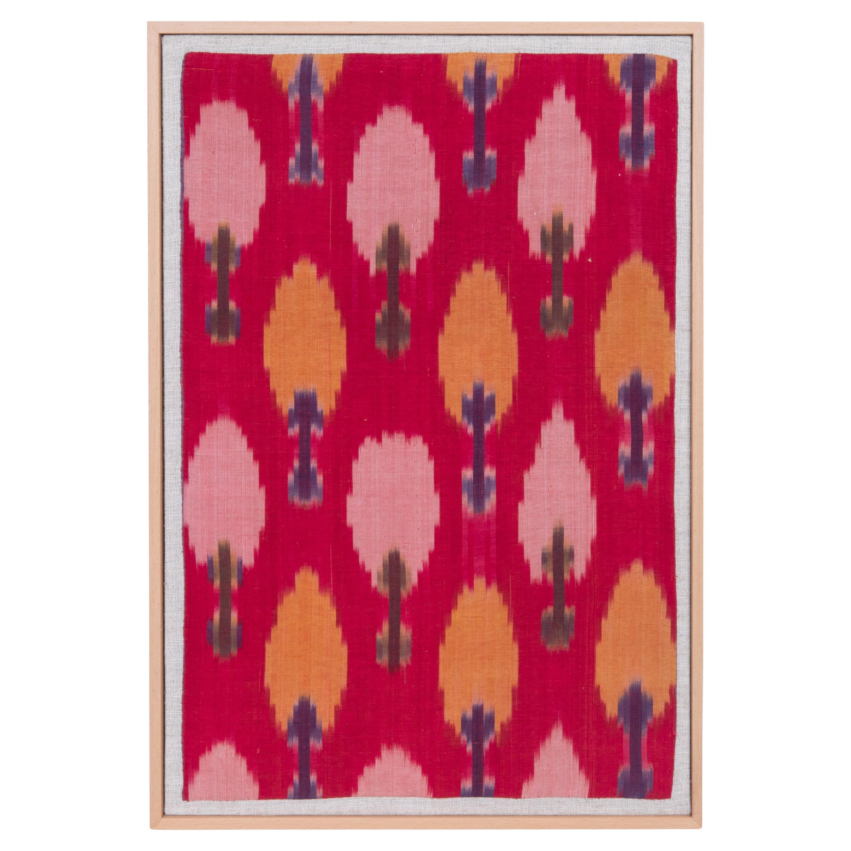 Professionally Framed Silk and Cotton Ikat Fragment, Uzbekistan, E 20th C.