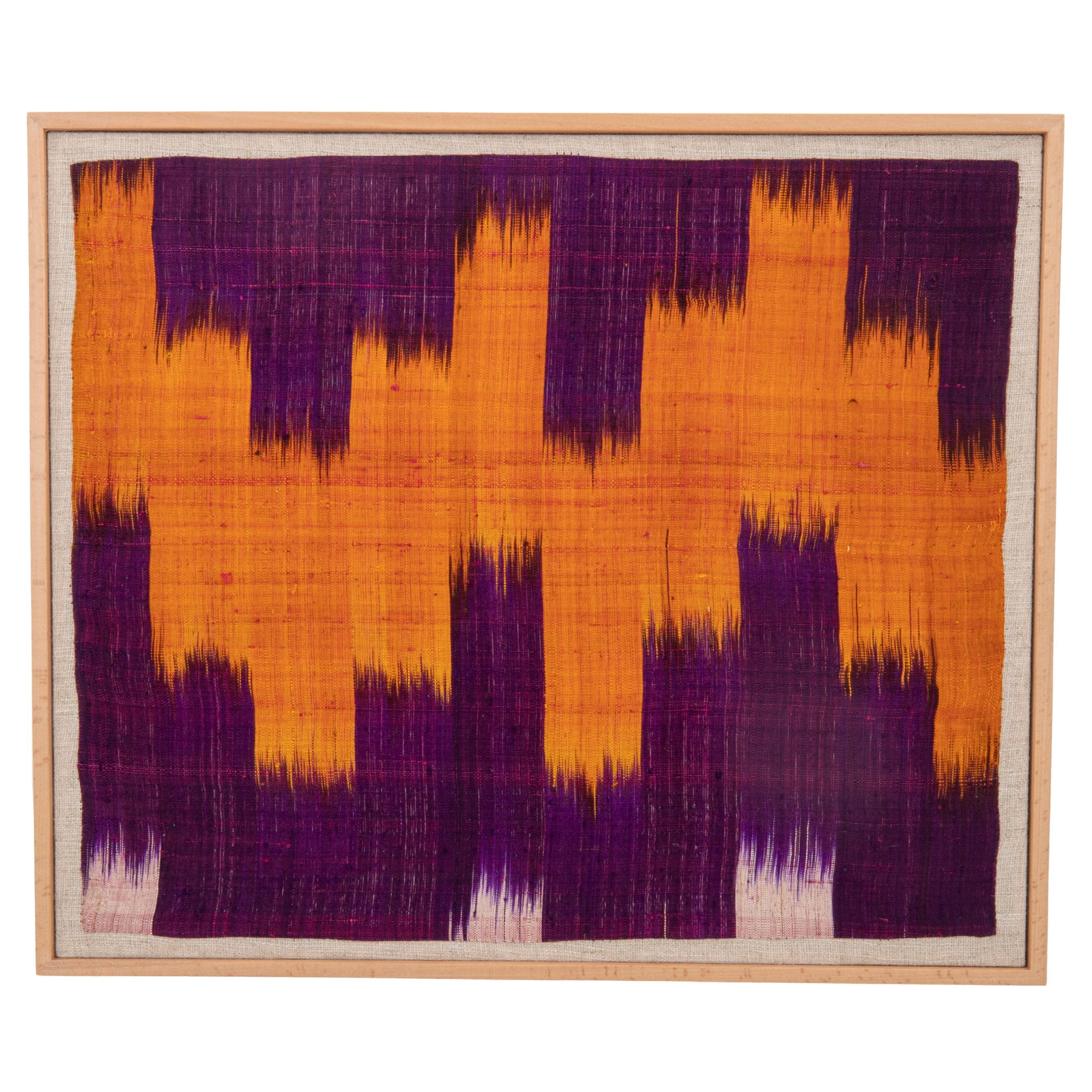 Professionally Framed Silk and Cotton Ikat Fragment, Uzbekistan, E 20th C.