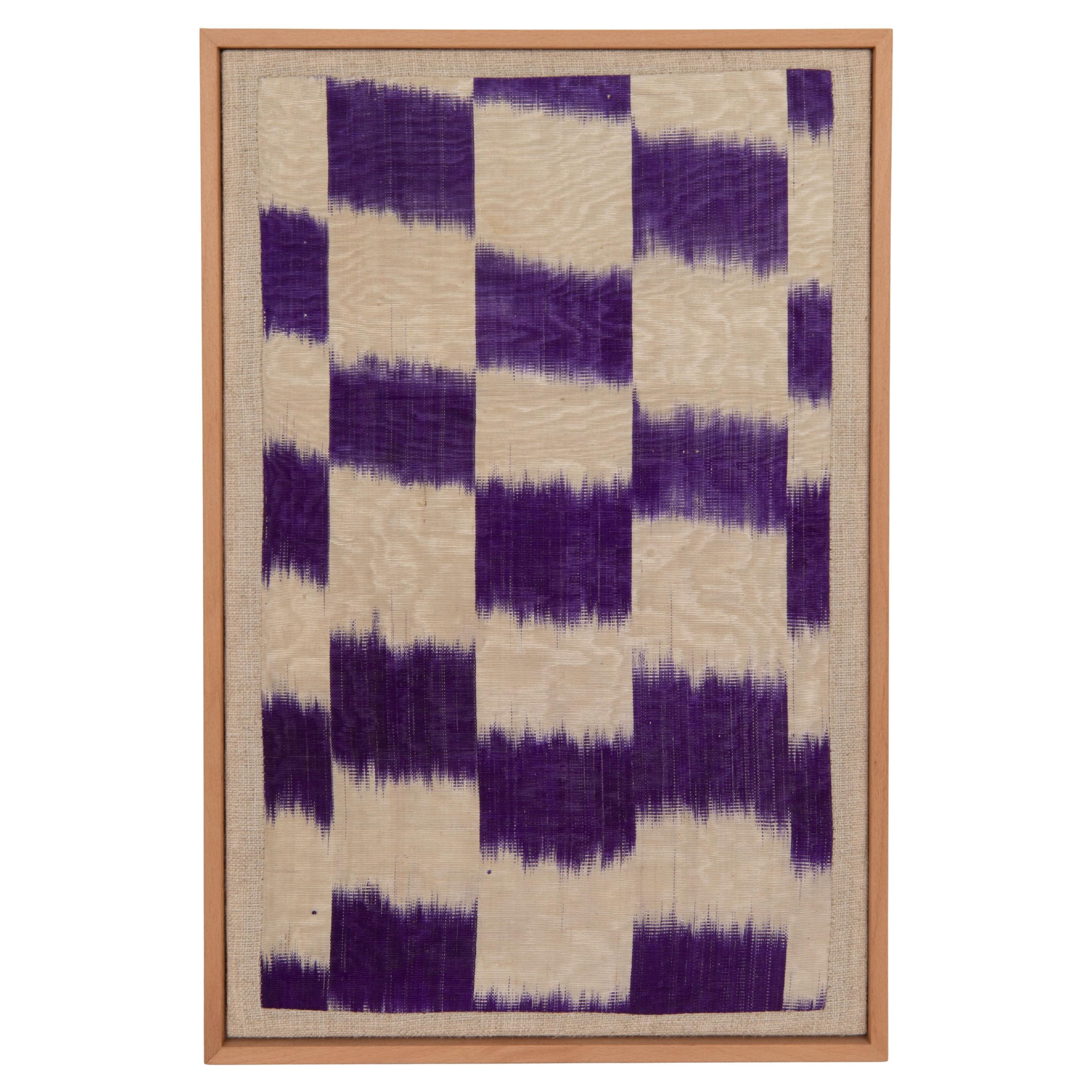 Professionally Framed Silk and Cotton Ikat Fragment, Uzbekistan, Early 20th C. For Sale
