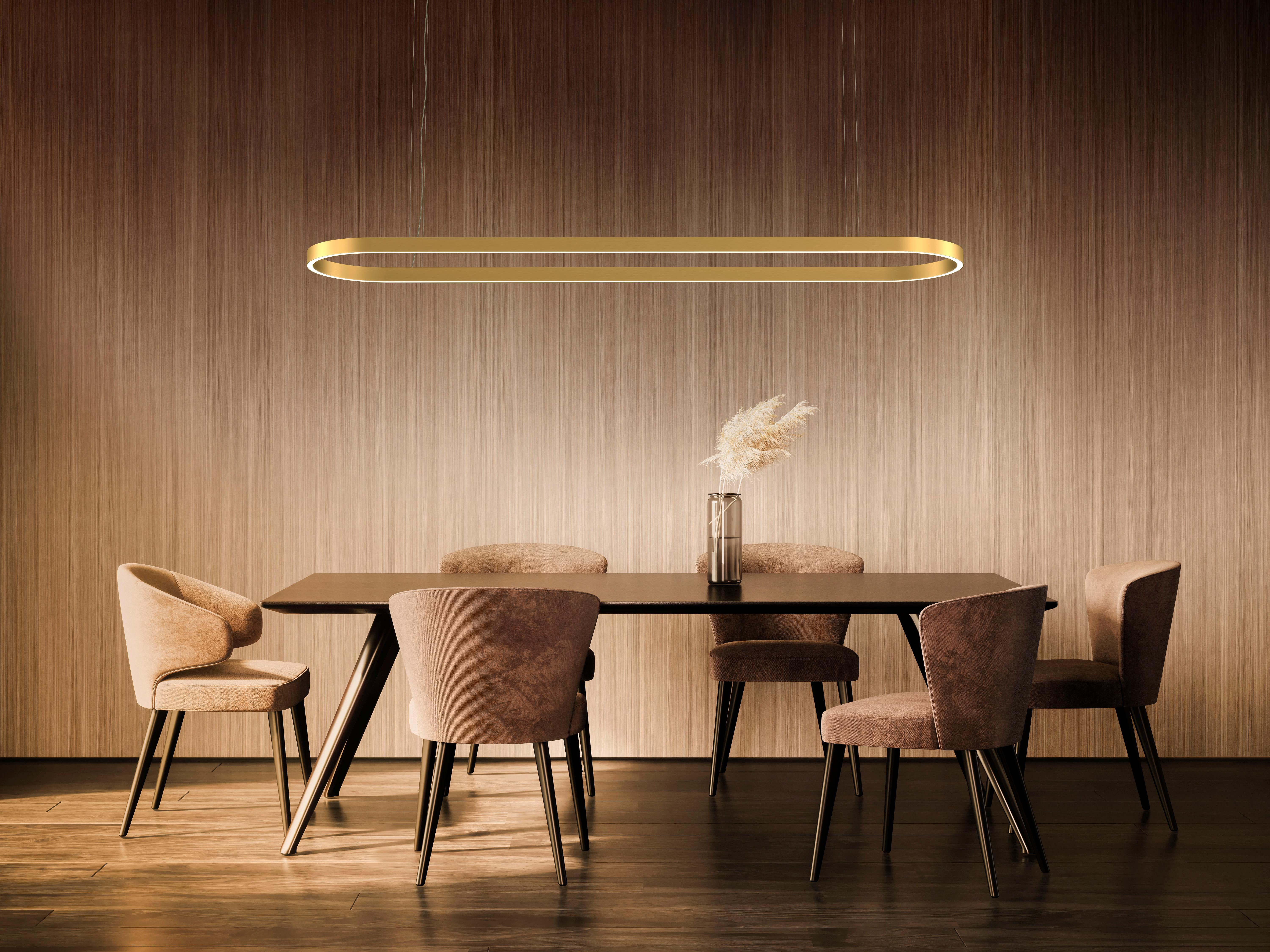 Post-Modern Profile Oval Pendant Lamp by Euroluce Lampadari For Sale