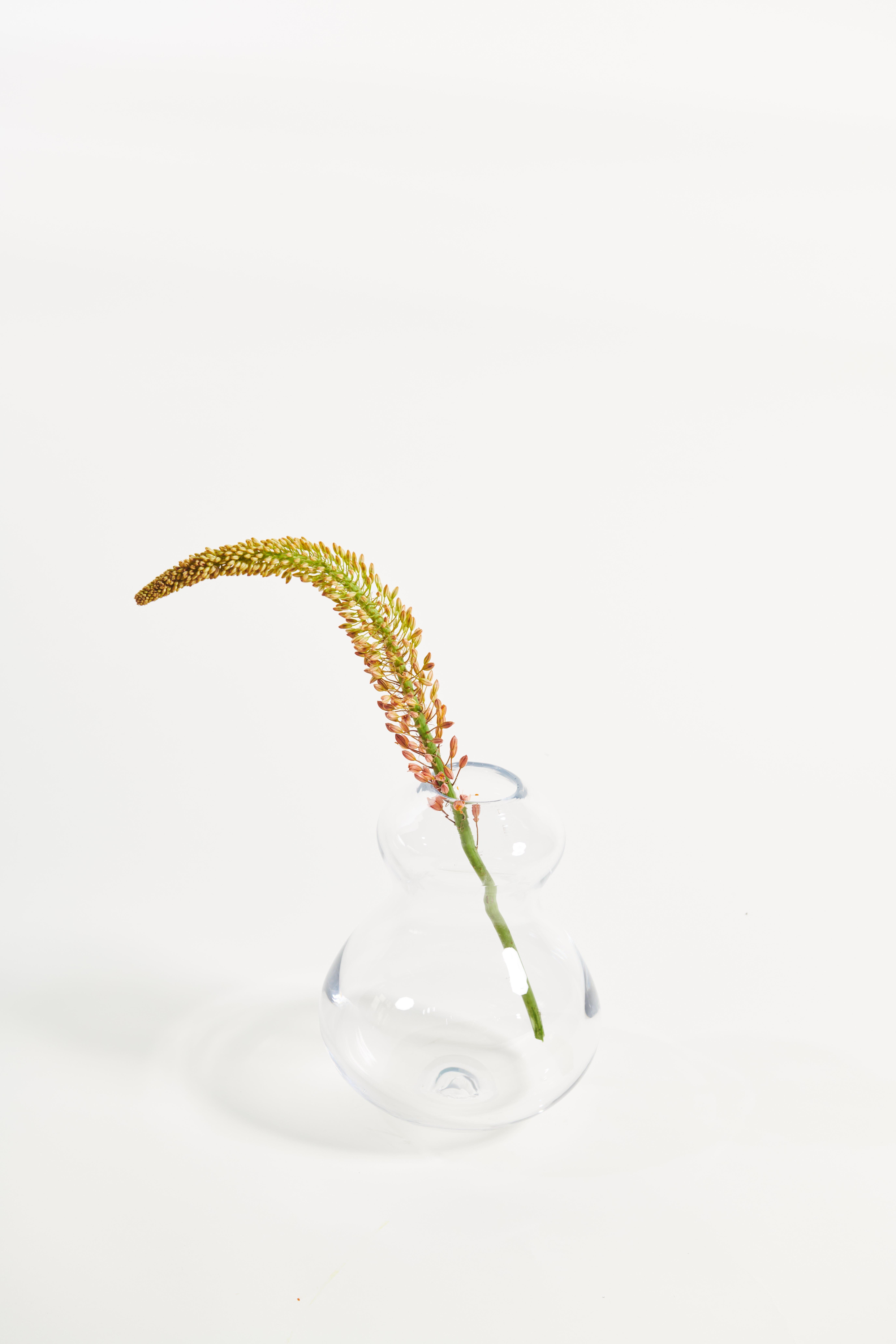 Europeo PROJECT MATERIA: Alchemist vase by Cathrine Raben Davidsen in vendita