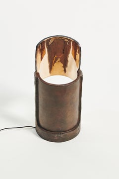 PROJECT MATERIA: Fossil Table Lamp by Onno Adriaanse