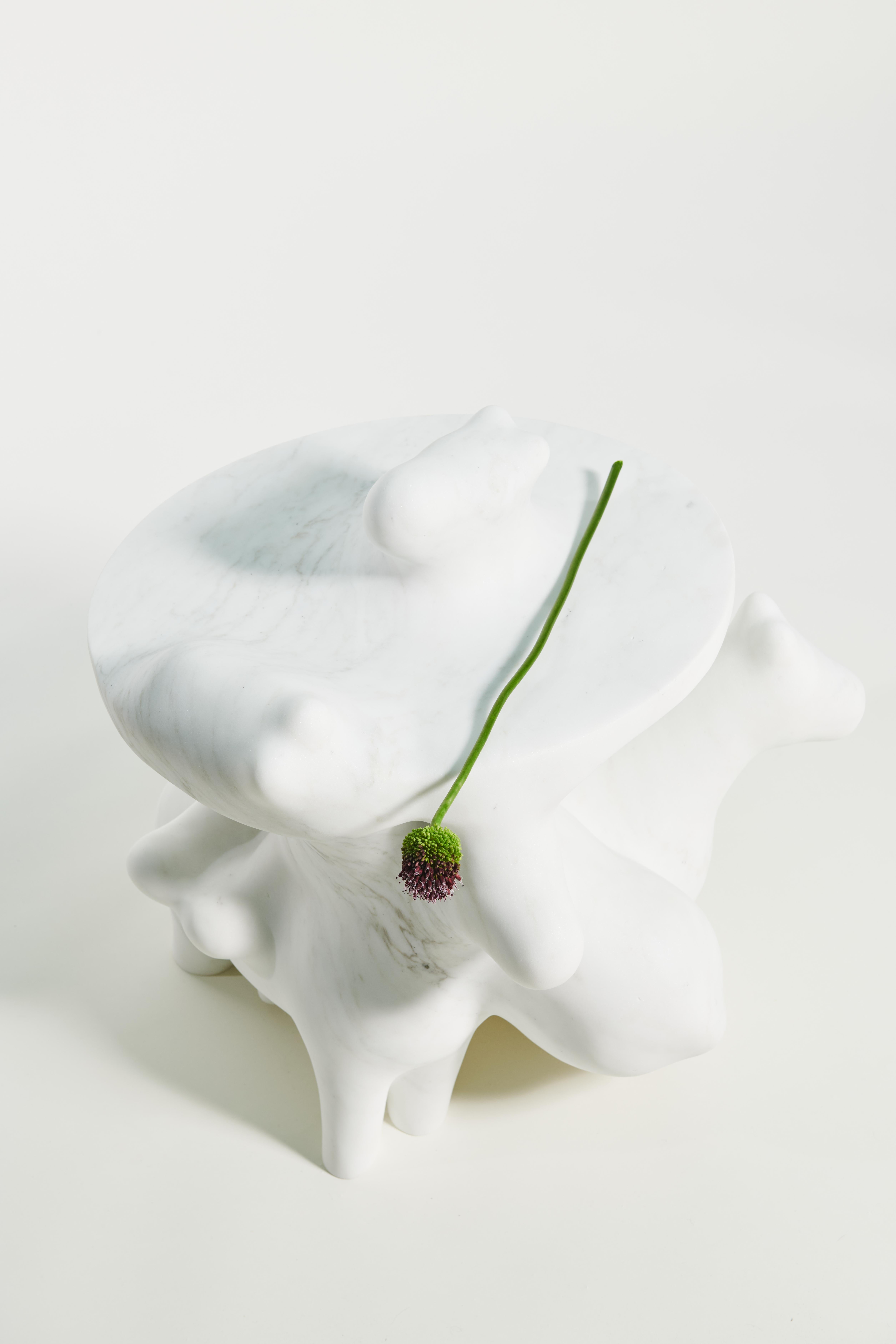 Marmo PROJECT MATERIA: Morph Horsies sculptural side table by Laurids Gallée in vendita