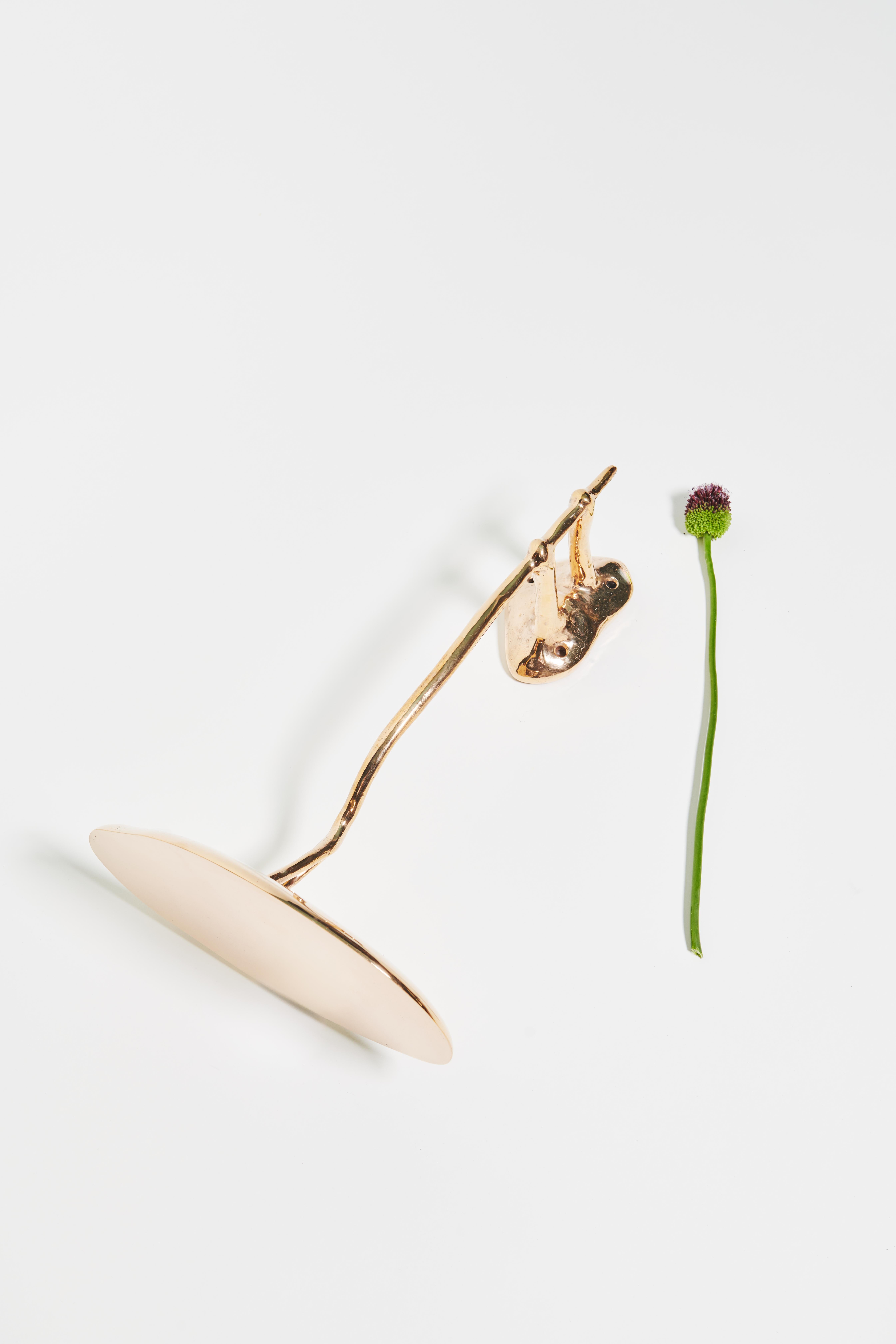 PROJEKT MATERIA: Pinea Regal by Willem Van Hooff (Europäisch) im Angebot