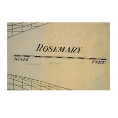 Projet de bateau Rosemary nautique des années 1920 par William Fife III, archives Uffa Fox
