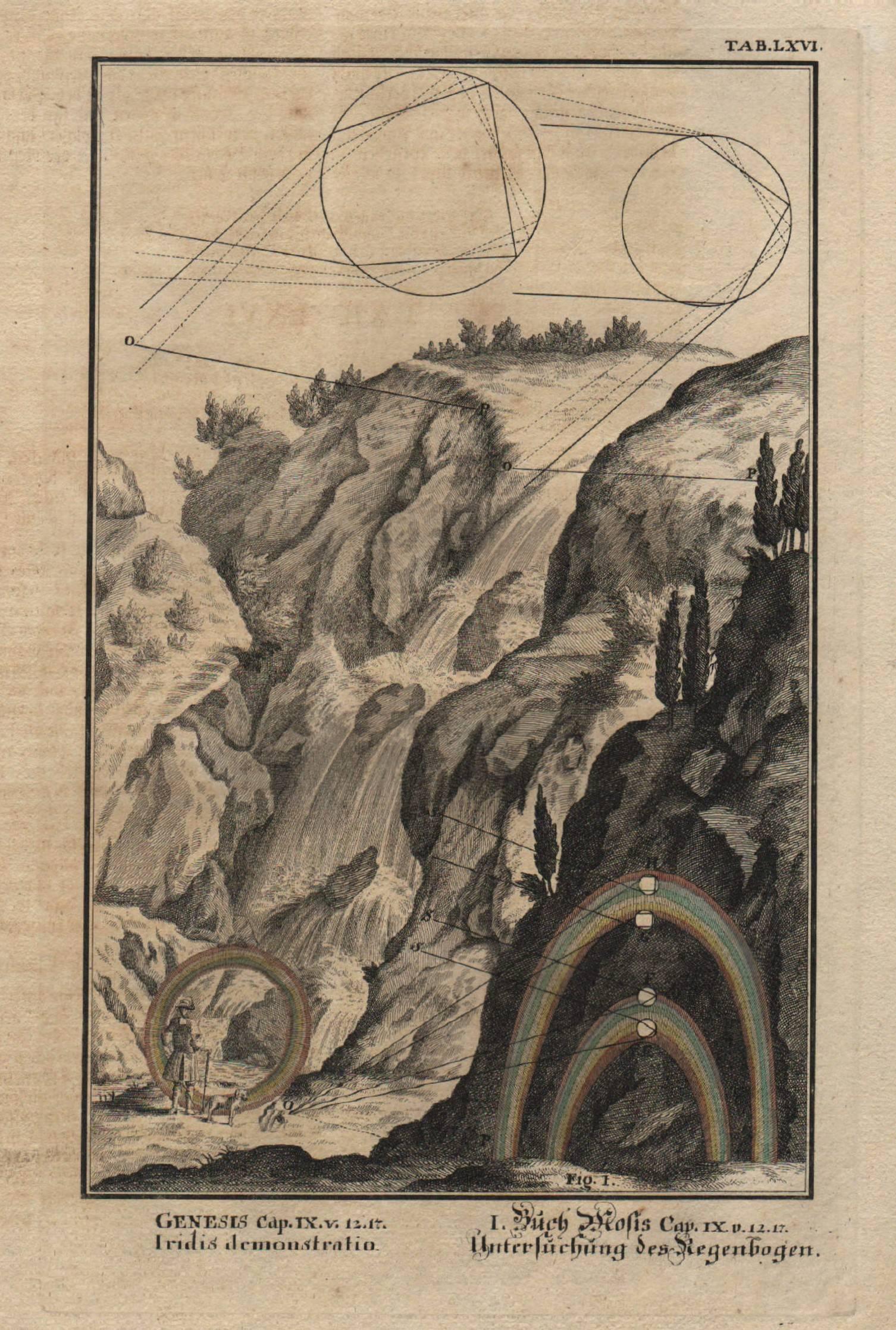 Promise of the Rainbow and Explanation, Johann Scheuchzer Physica Sacra For Sale 1