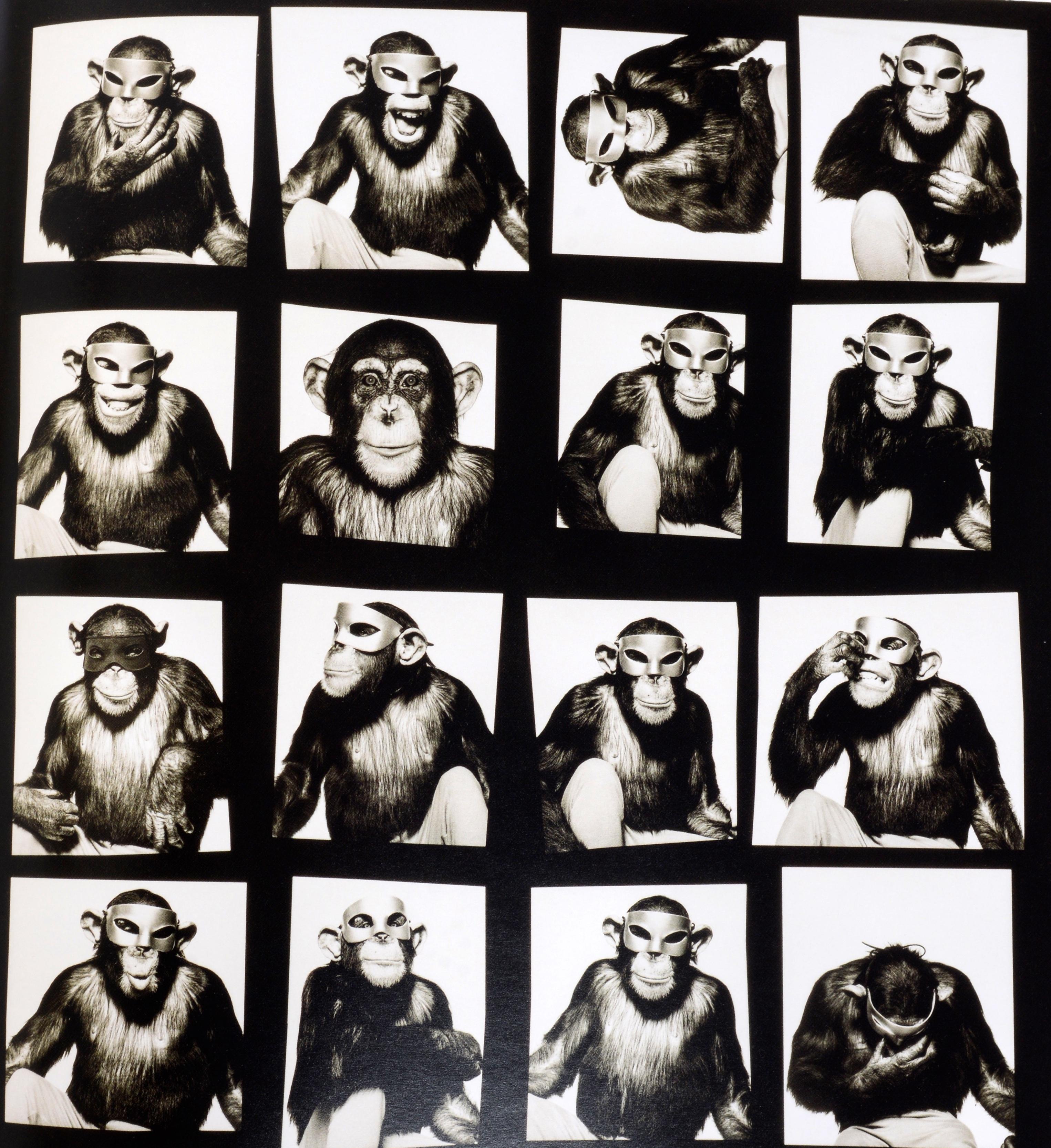 Proof: Photography in the Era of the Contact Sheet, Collection of Mark Schwartz  For Sale 3