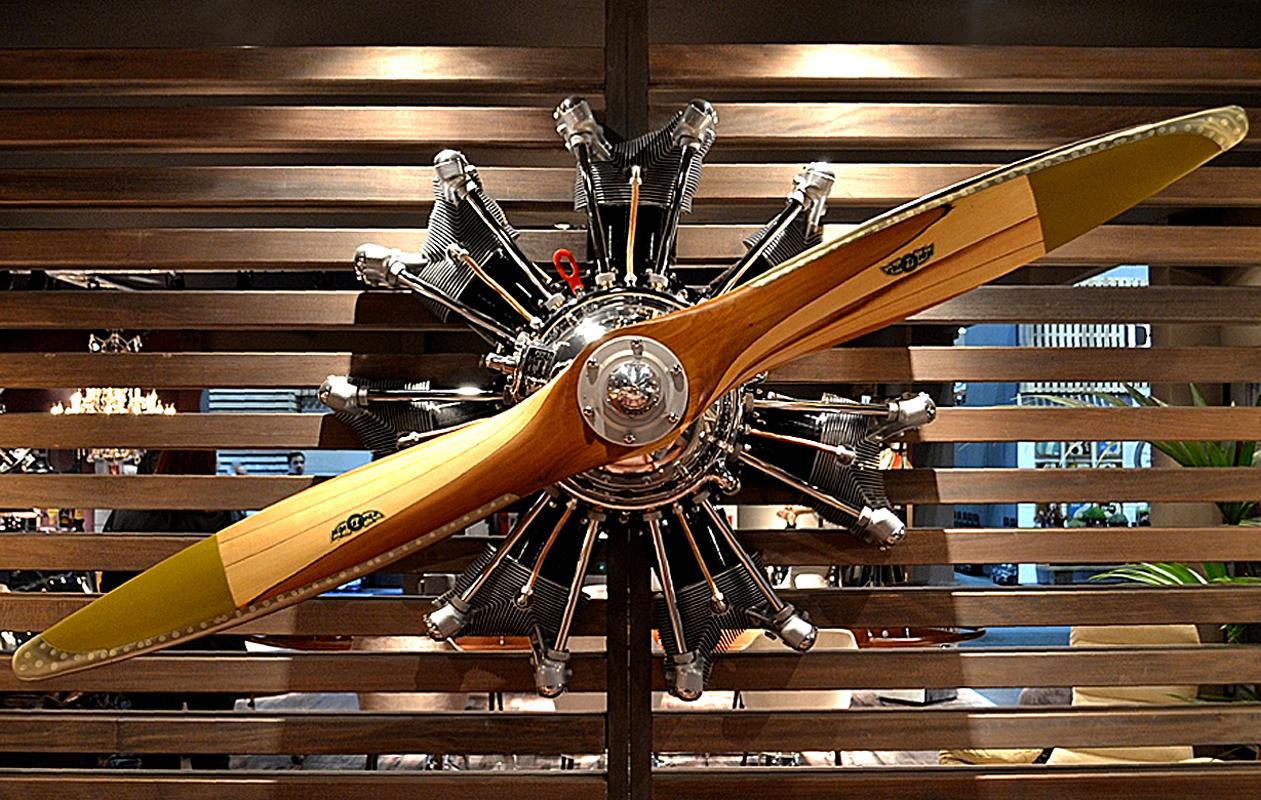 Propeller and Stellar Aircraft Engine
wall decoration. Exceptional piece.
