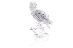 Proud Eagle by GORDON GU