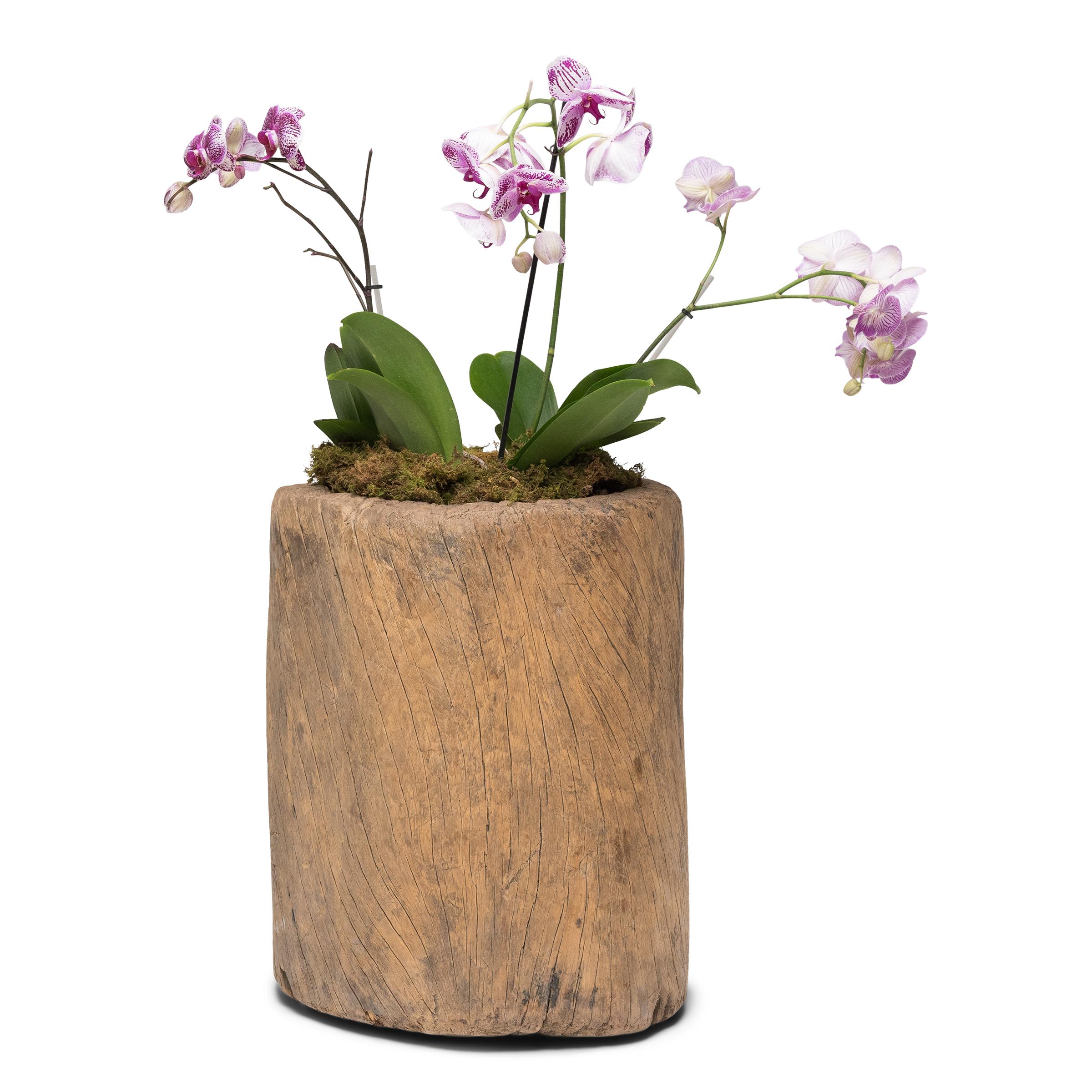 This large wooden mortar dates to the late 19th century and was originally used for crushing rice, grain, spices and other foodstuffs. Carved from a single tree trunk, the mortar has a smoothly worn interior bowl from years of use. The exterior has