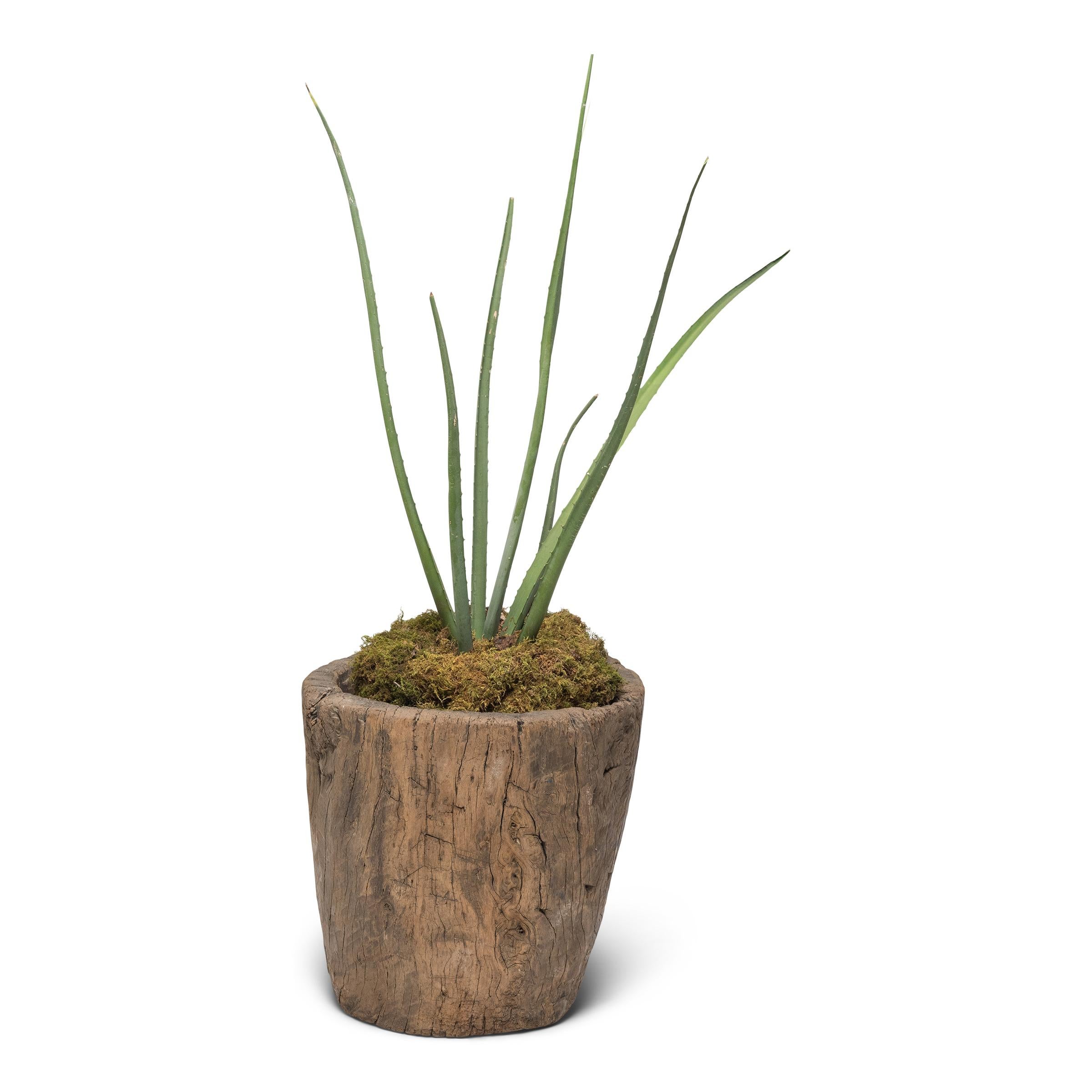 Este gran mortero de madera data de finales del siglo XIX y se utilizaba originalmente para machacar arroz, grano, especias y otros alimentos. Tallado a partir de un único tronco de árbol, el mortero tiene un cuenco interior suavemente desgastado
