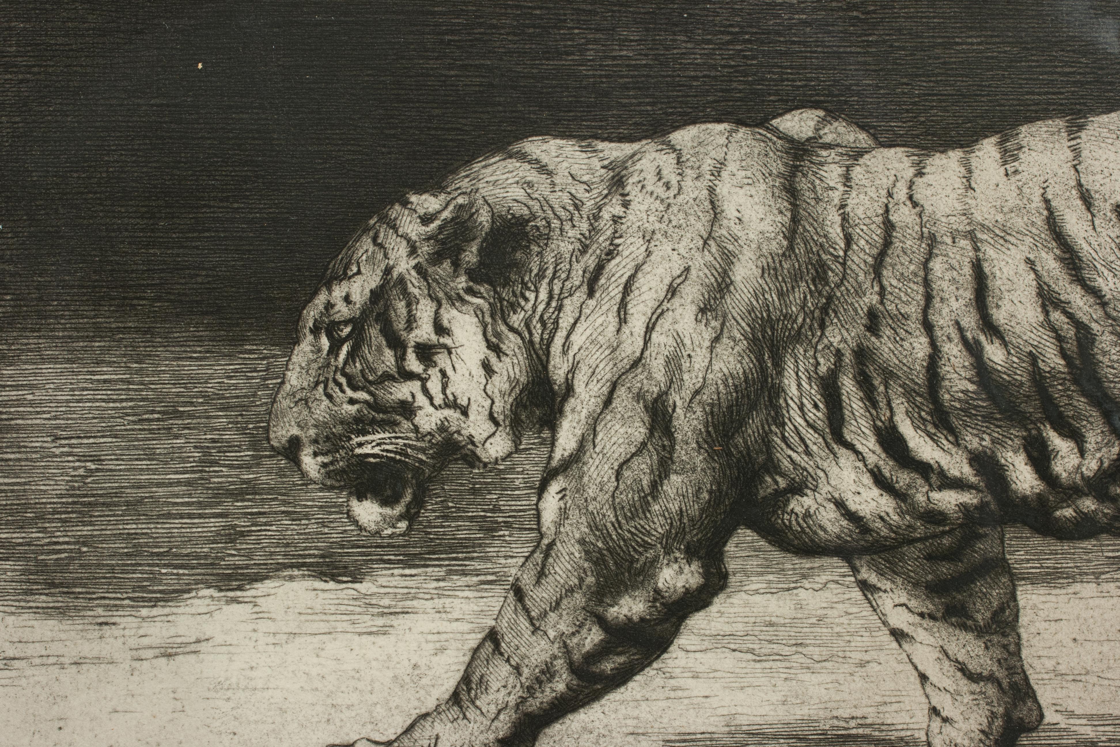 prowling tiger drawing