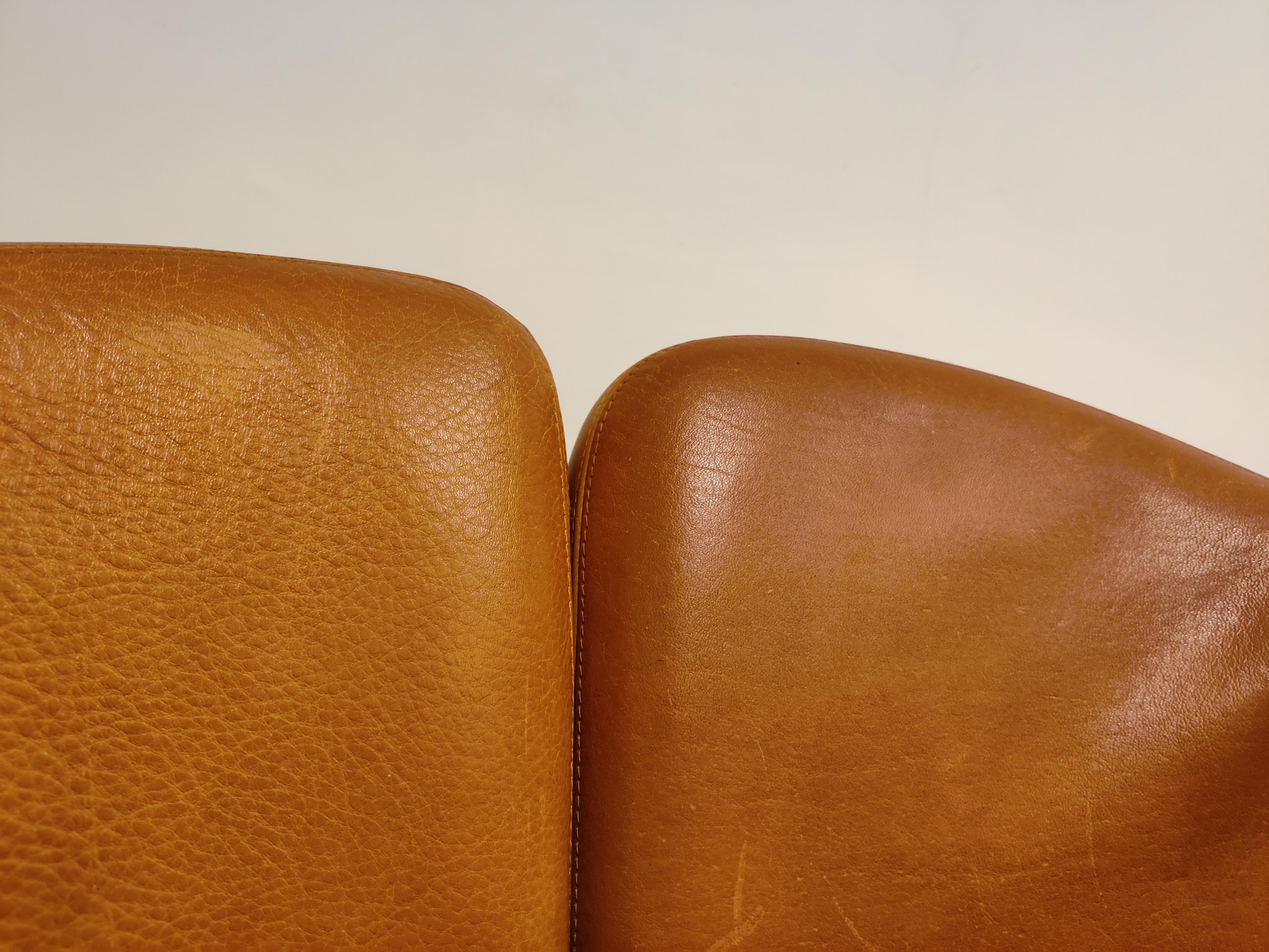 Leather PS142 Easy Chairs by Eugenio Gerlio for Tecno, 1960s