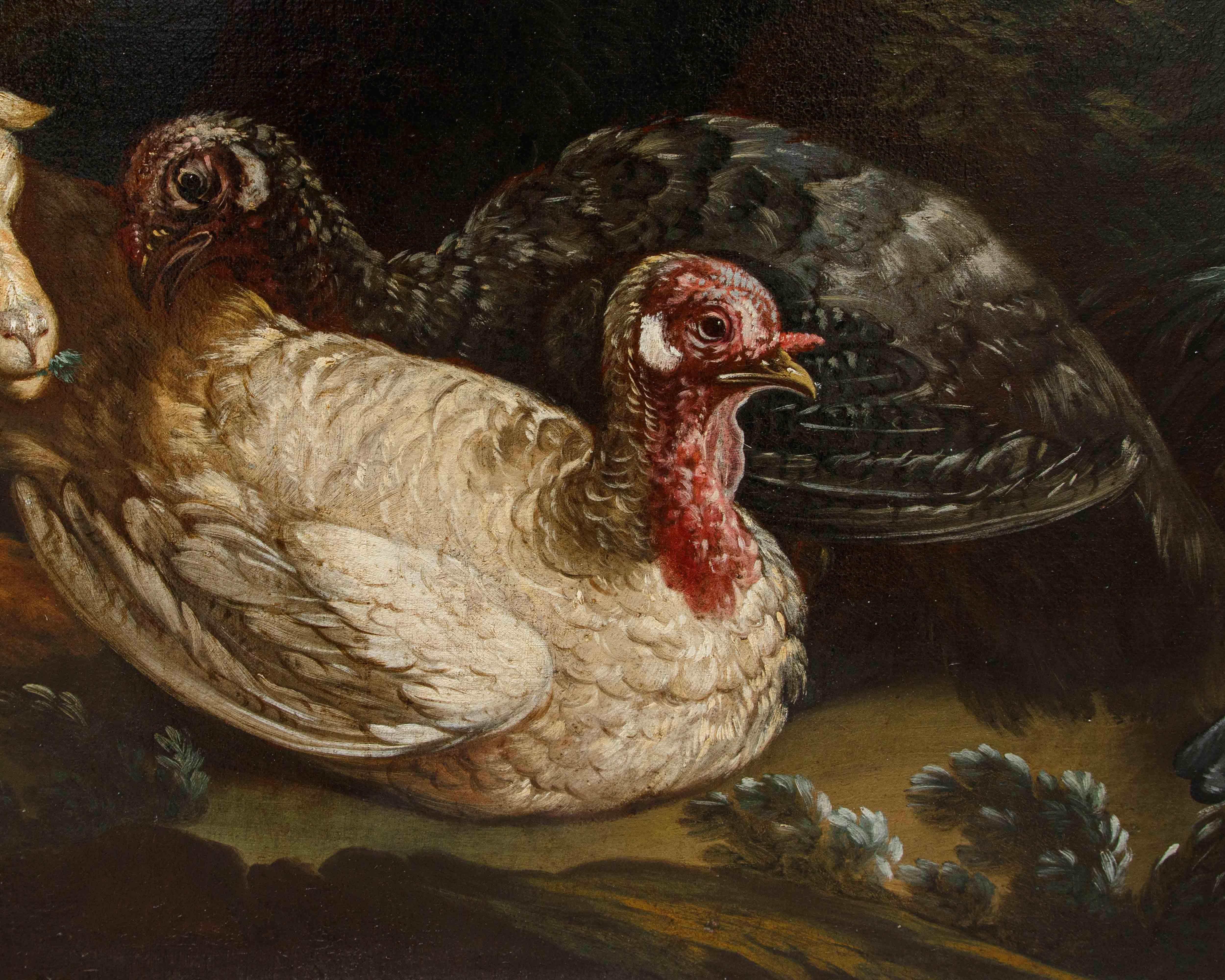 Pseudo Vitali, Coppia di Nature Vive con animali in vendita 4
