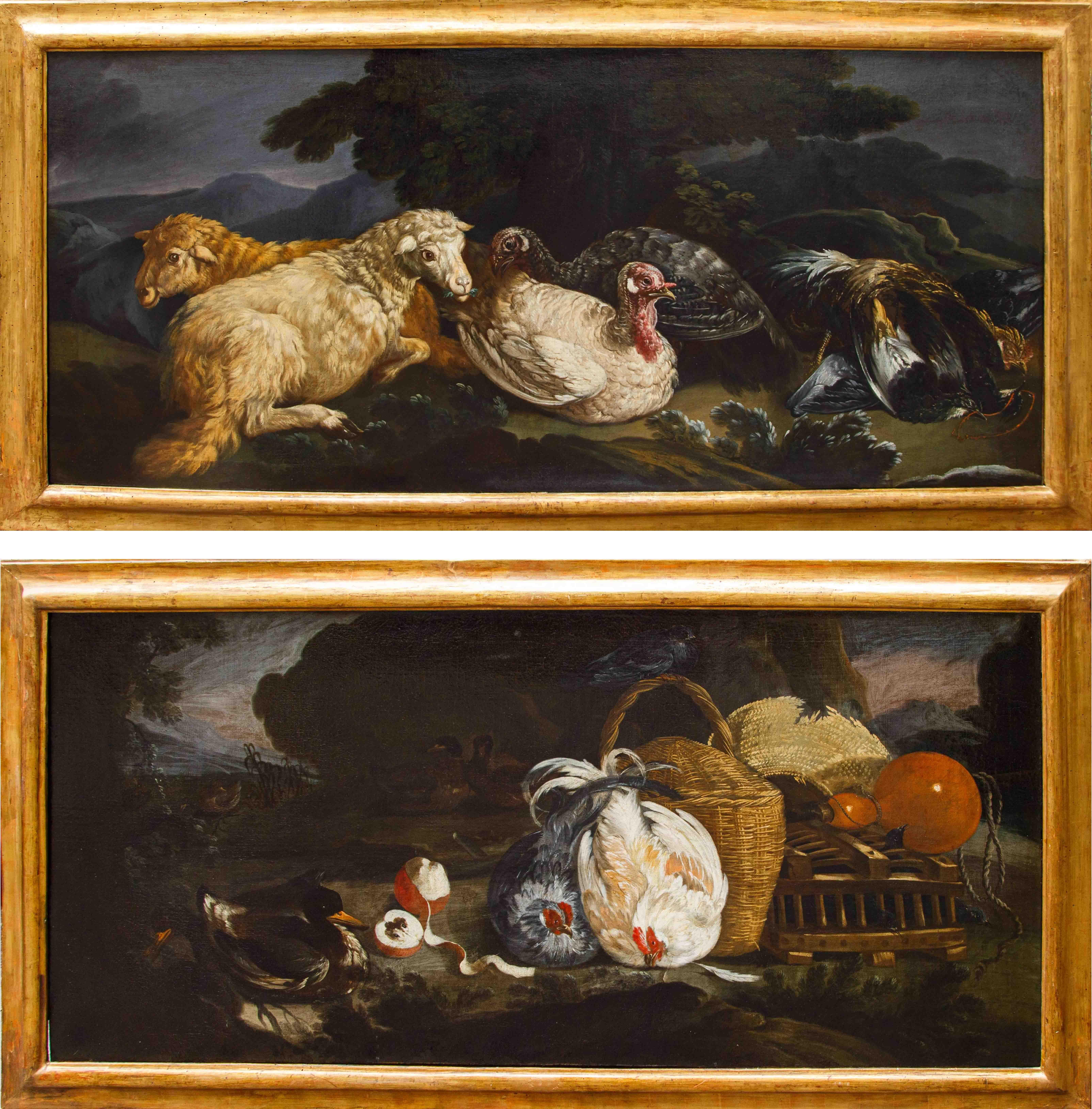 Pseudo-Vitali (Attivo a Bologna nella prima metà del XVIII secolo)

Coppie di Nature Vive con gallinacei, pecore, cesto di vimini

Olio su tela, cm 80 x 170

Con cornice, cm 95 x 185


Le due composizioni di medesime dimensioni di formato