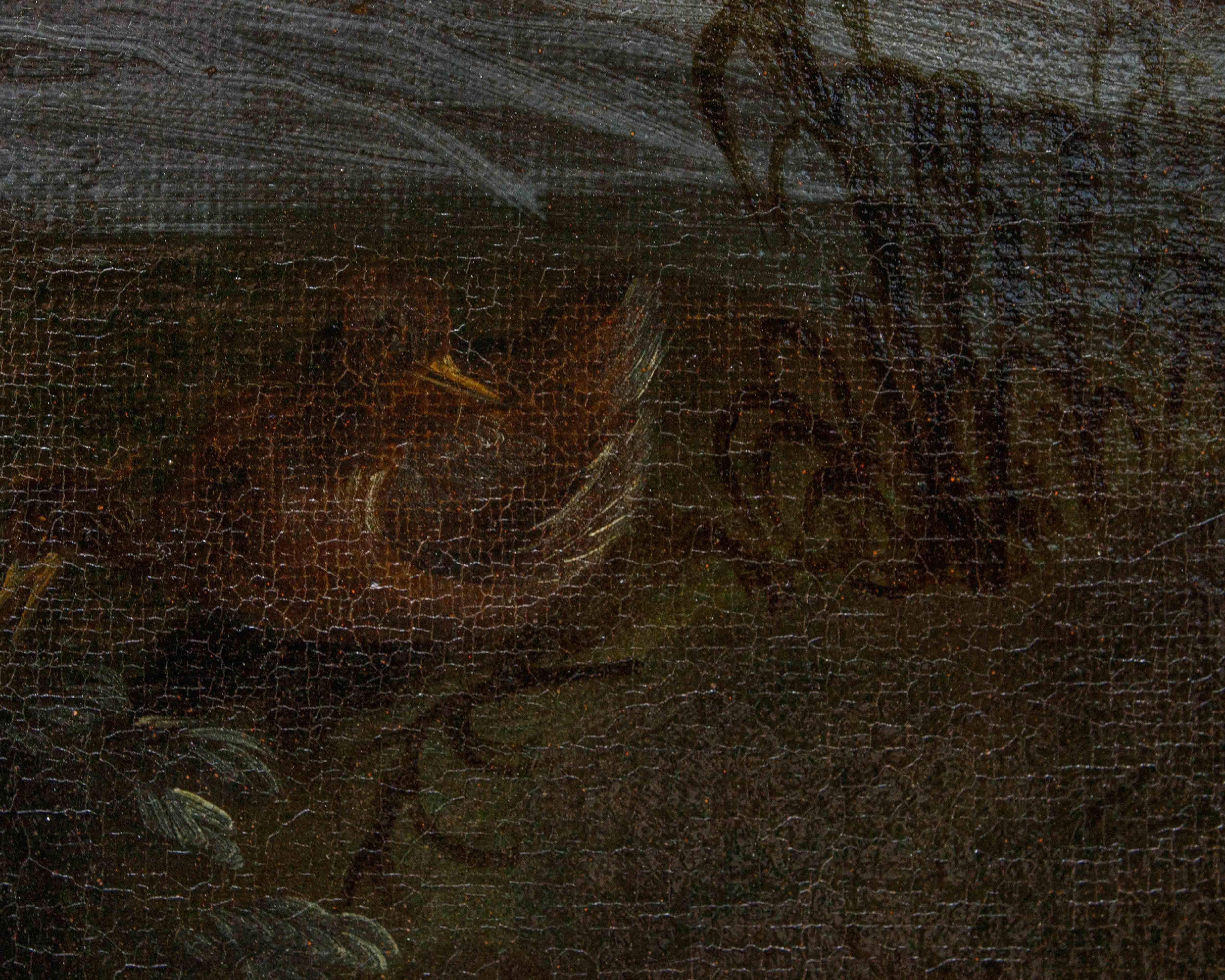 Nature Vive di animali Pseudo Vitali (Première moitié du XVIIIe siècle) en vente 11