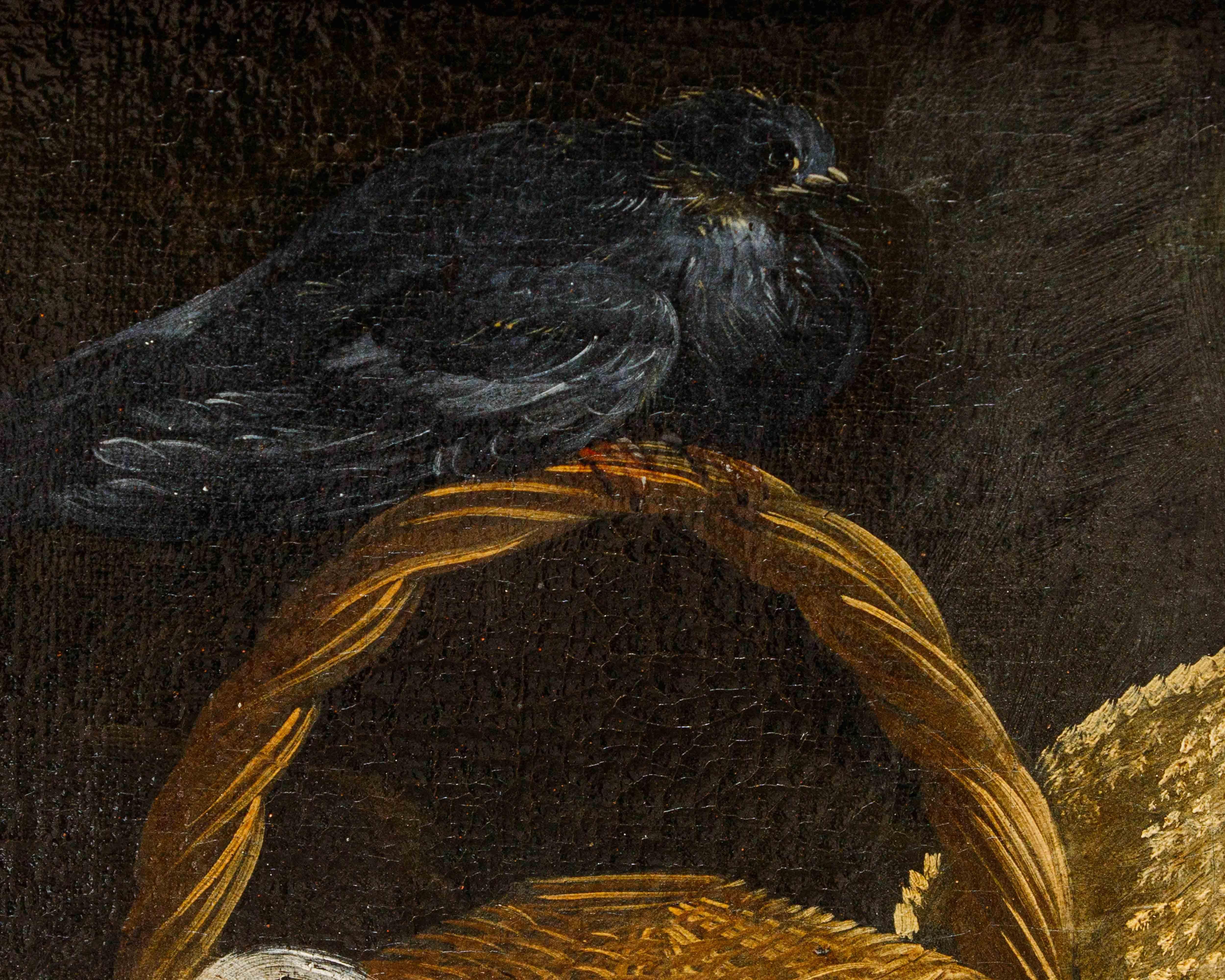 Nature Vive di animali Pseudo Vitali (Première moitié du XVIIIe siècle) en vente 12