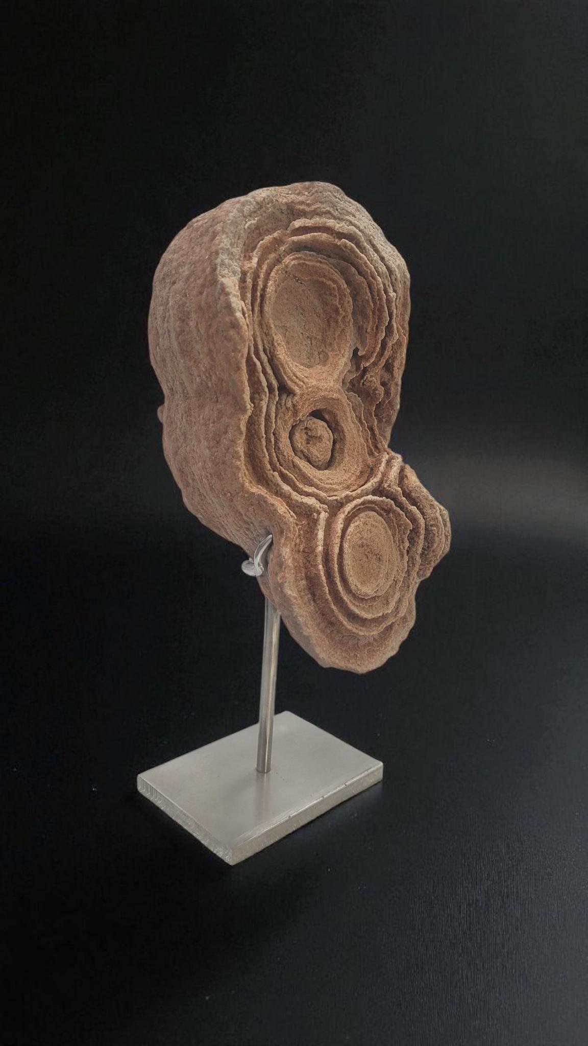 Questa scultura naturale rossa è chiamata pseudo stromatolite.
Le pseudo stromatoliti sono concrezioni di arenaria rossa che si formano con lo stesso fenomeno delle stromatoliti. La differenza è che qui non ci sono cianobatteri.
Le chiamiamo anche