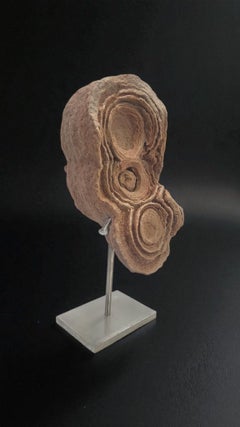 Concrezione di pseudostromatolite dal Marocco